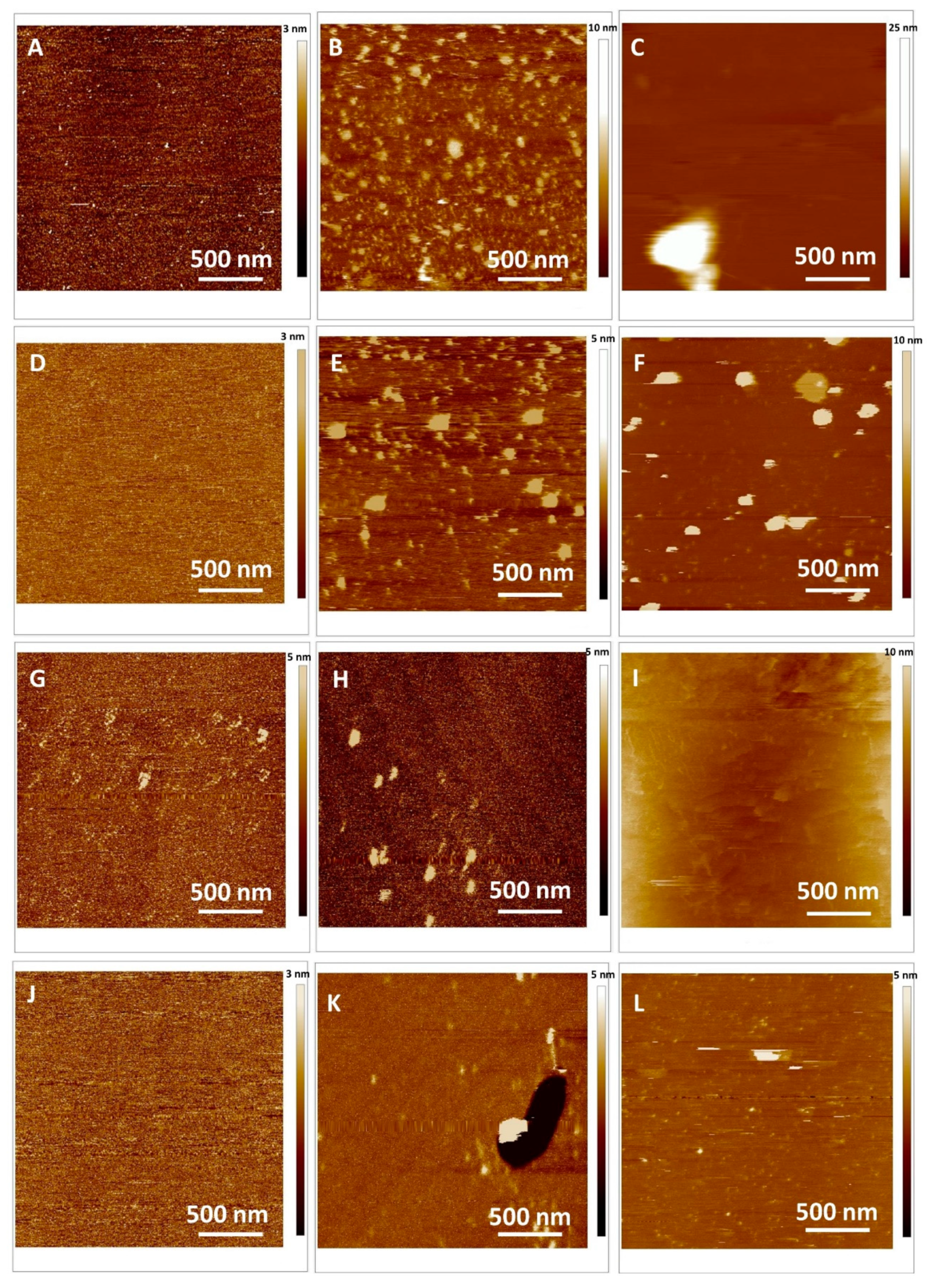 Ijms 20 02709 g006 Ijms 20 02709 g006