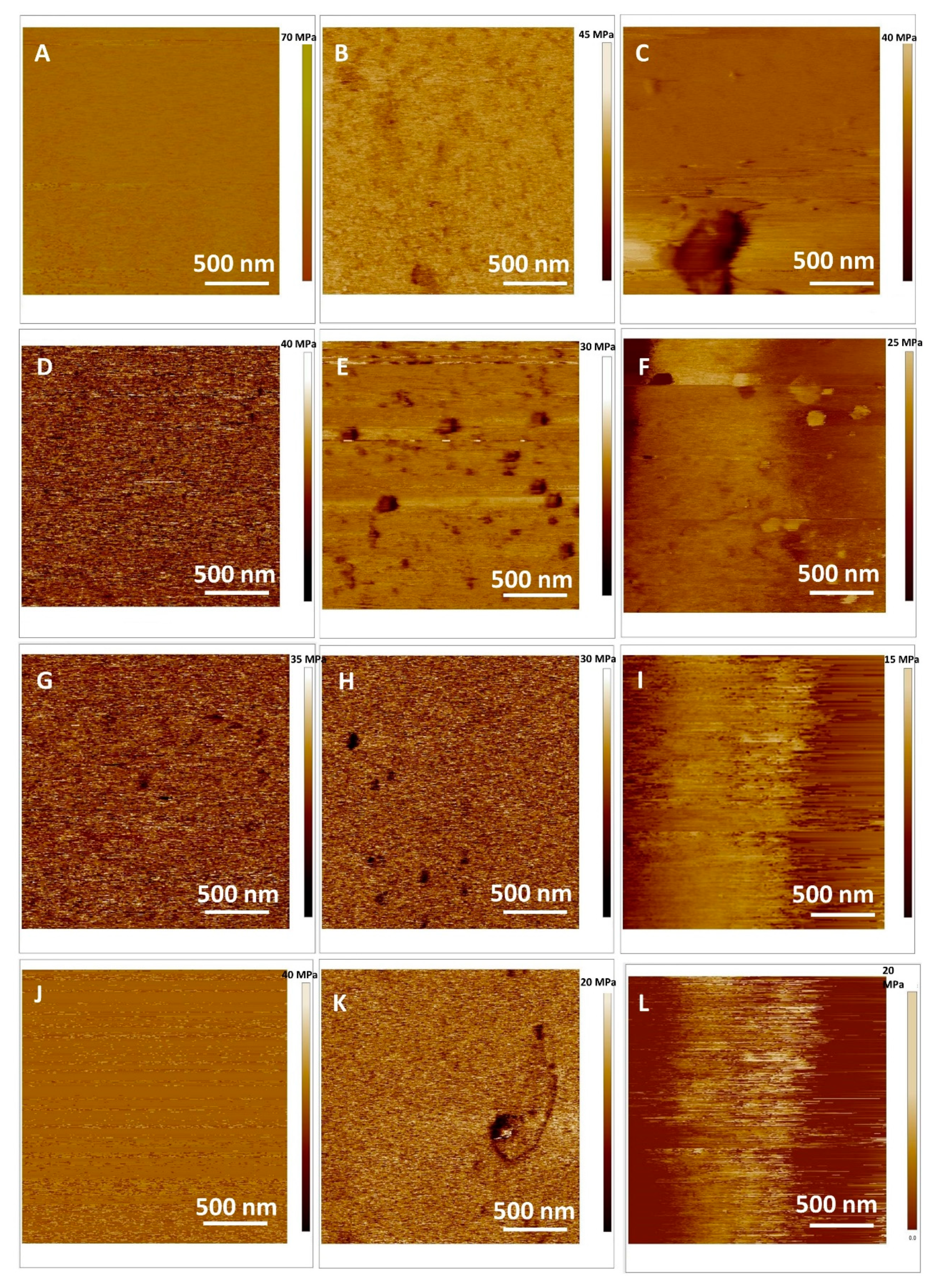 Ijms 20 02709 g007 Ijms 20 02709 g007