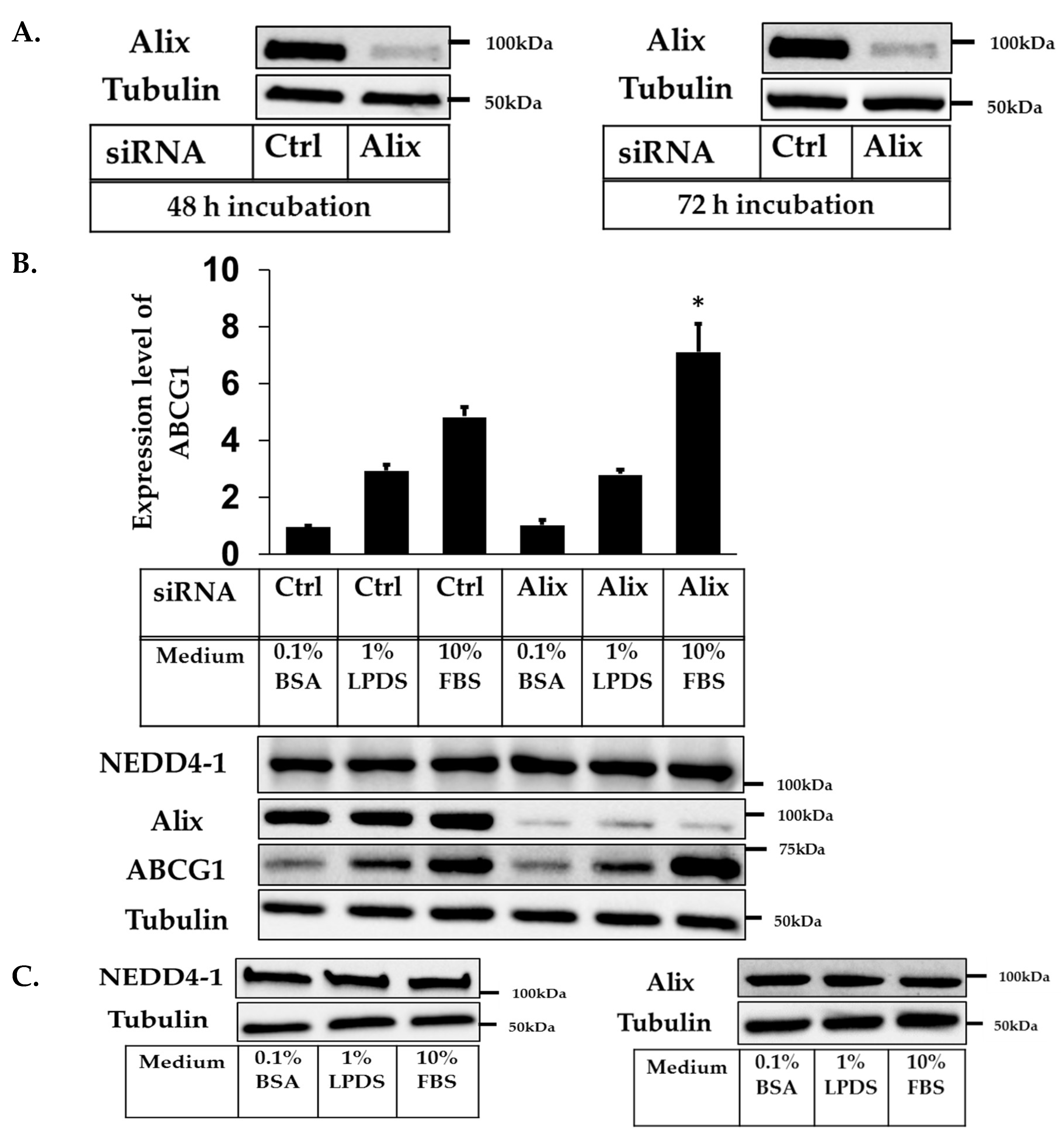 Ijms 20 02714 g002 Ijms 20 02714 g002