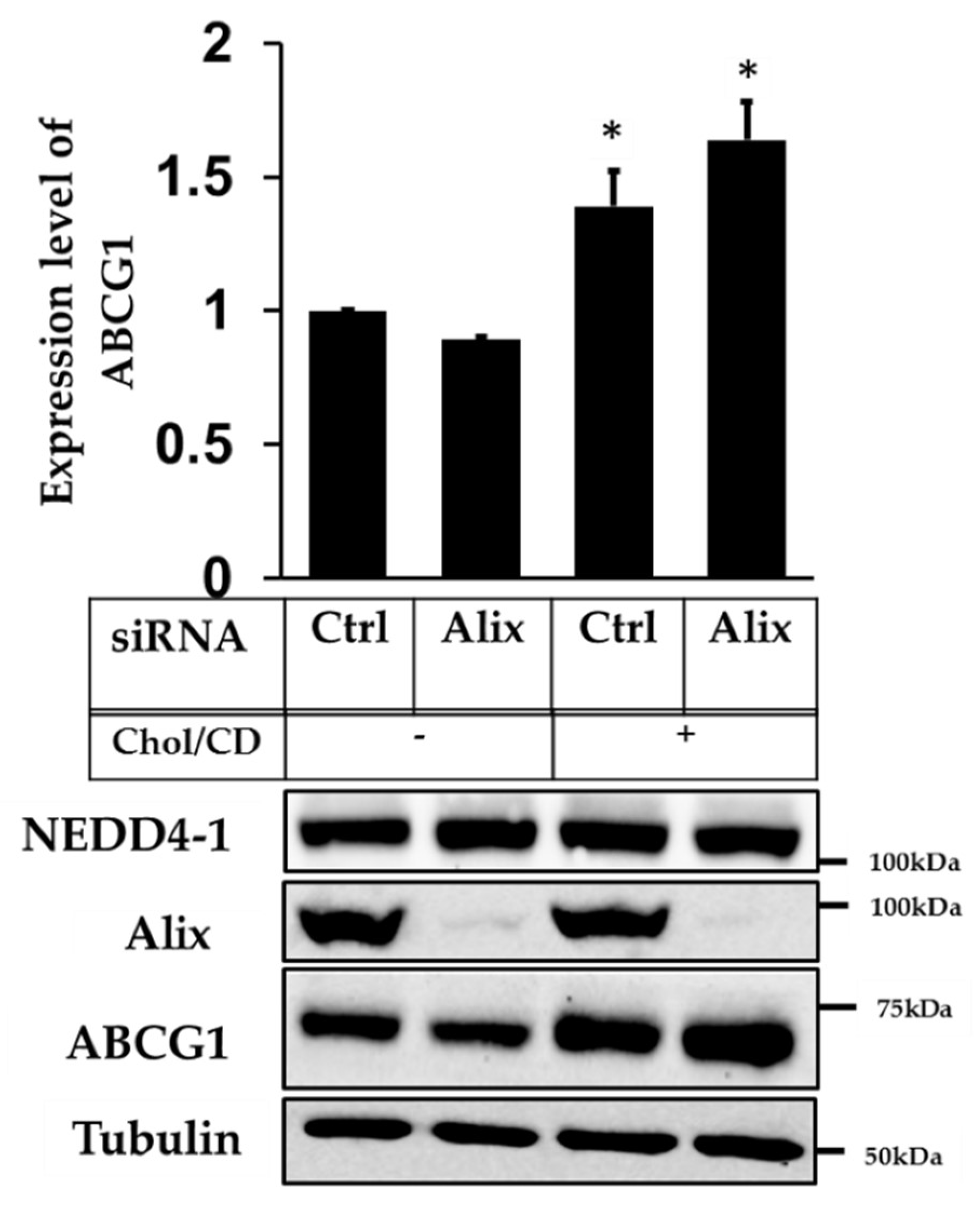 Ijms 20 02714 g003 Ijms 20 02714 g003