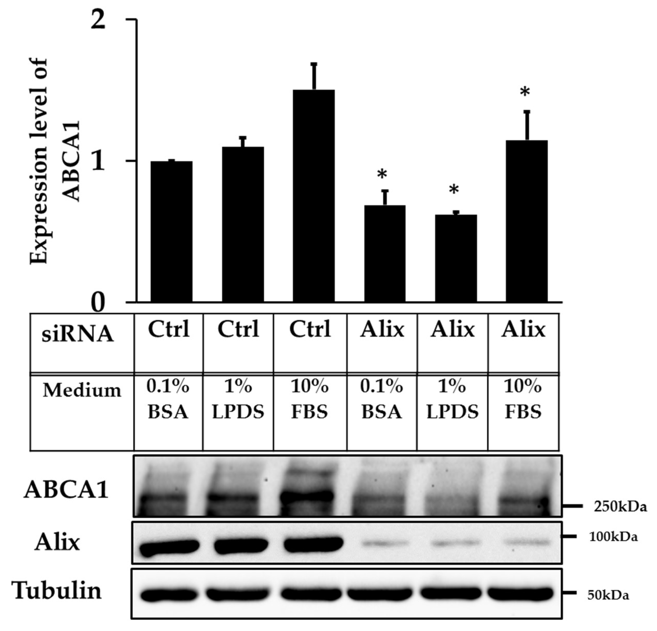 Ijms 20 02714 g005 Ijms 20 02714 g005