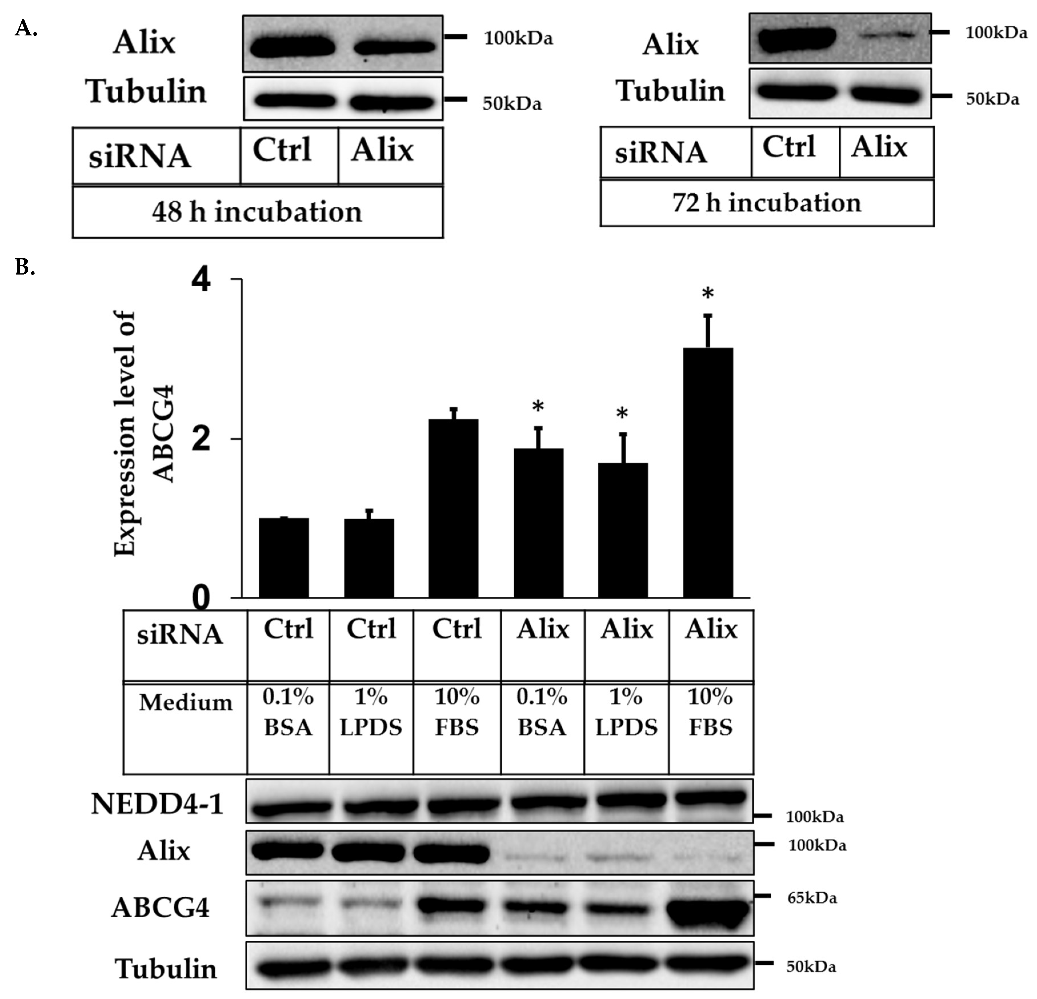 Ijms 20 02714 g006 Ijms 20 02714 g006