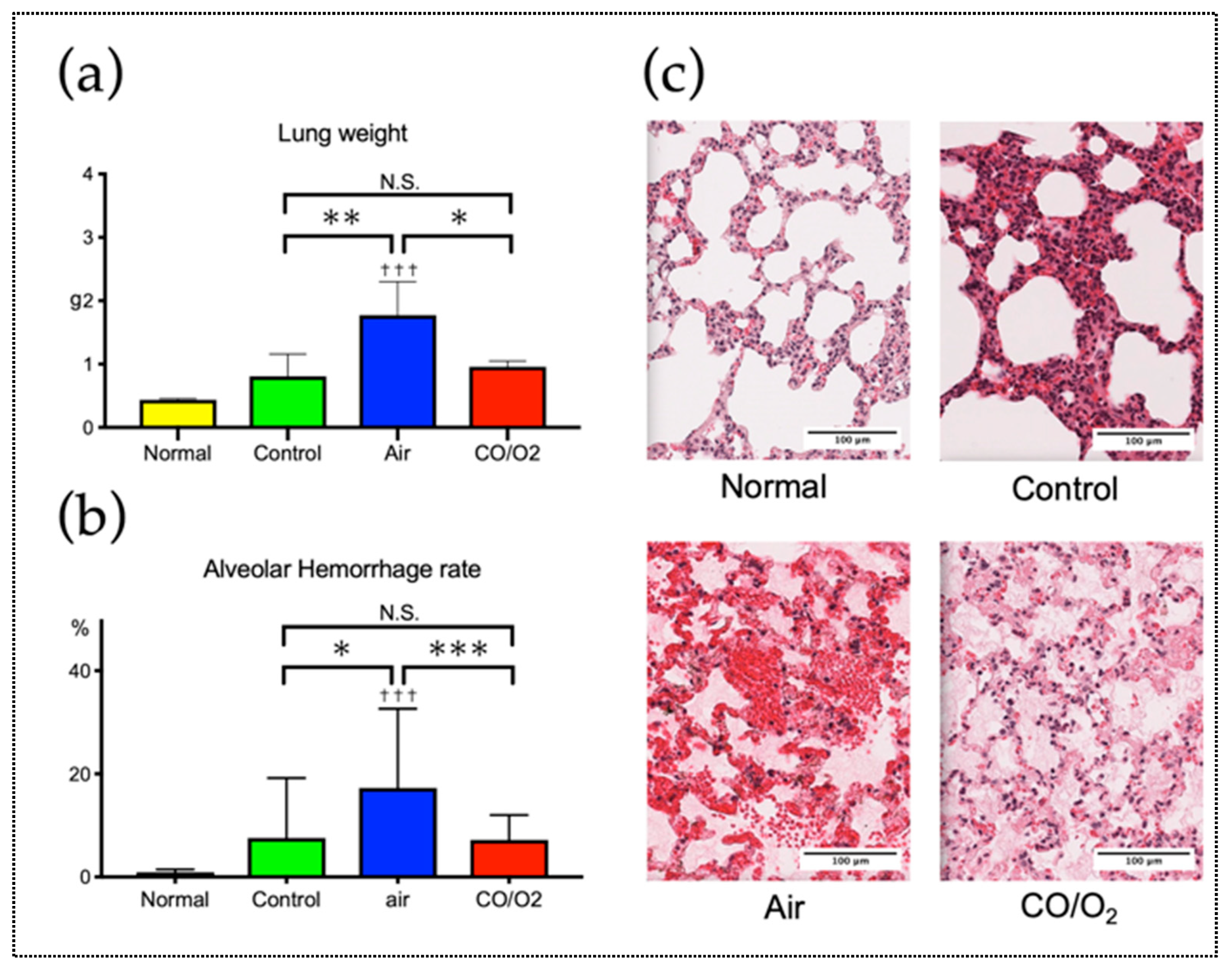 Ijms 20 02719 g002 Ijms 20 02719 g002