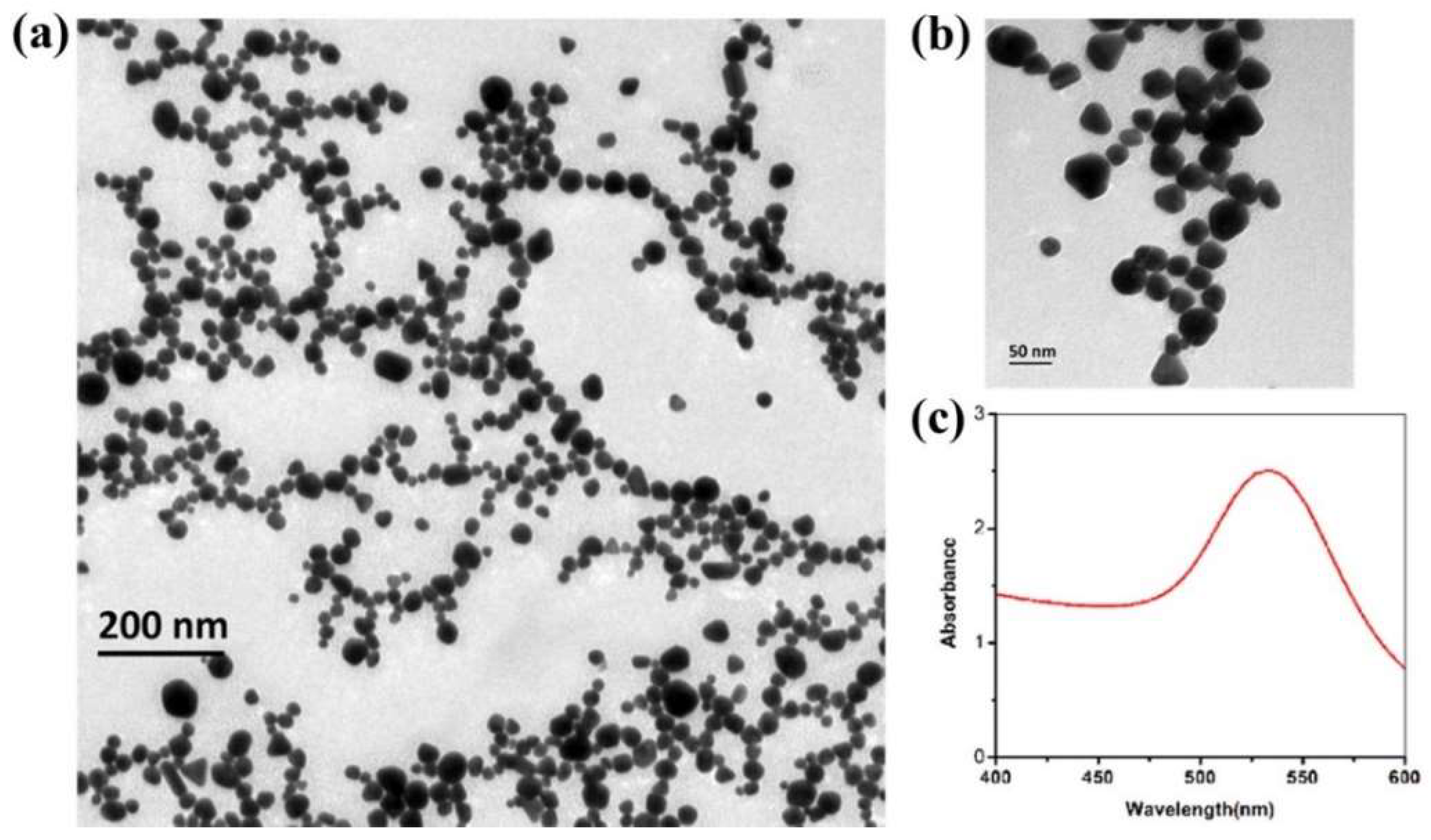 Ijms 20 02722 g001 Ijms 20 02722 g001