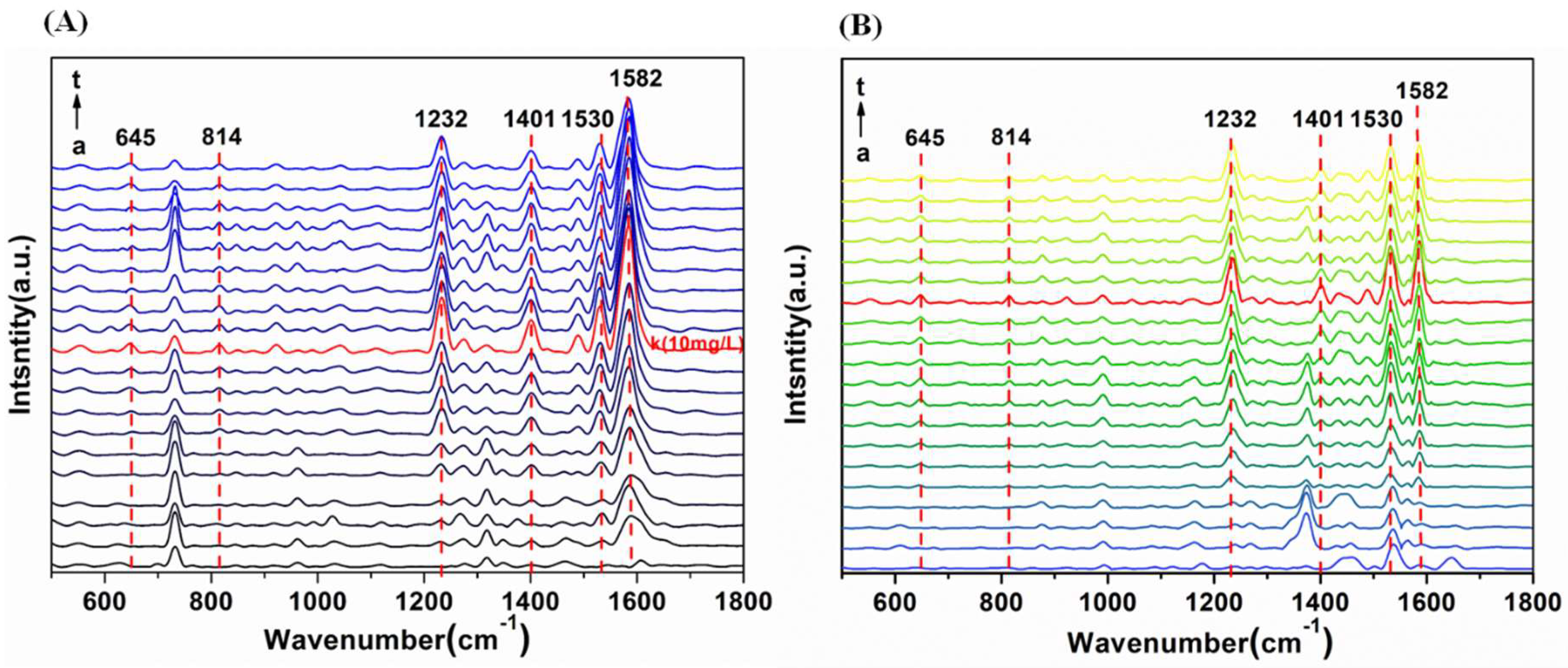 Ijms 20 02722 g004 Ijms 20 02722 g004