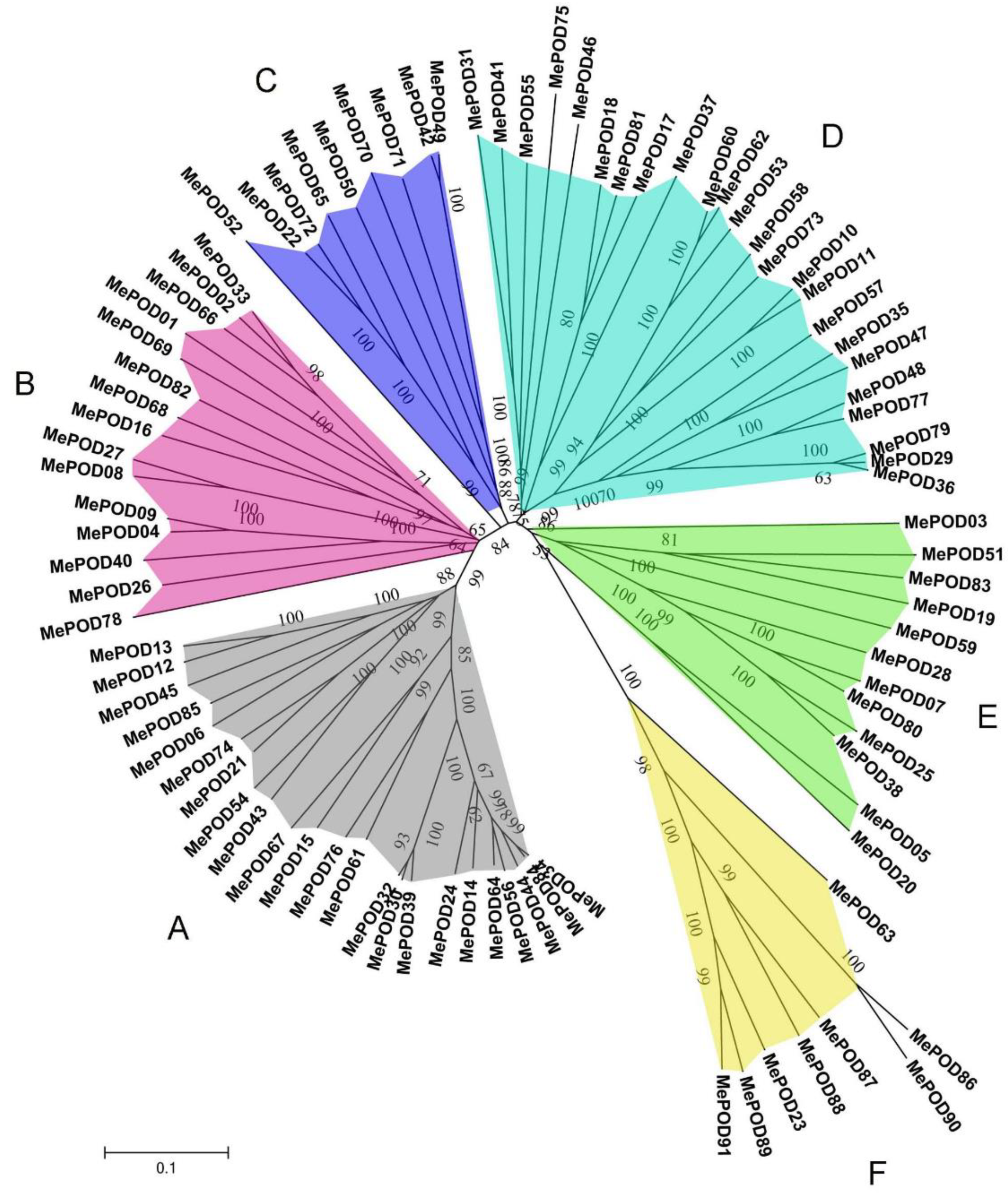 Ijms 20 02730 g001 Ijms 20 02730 g001