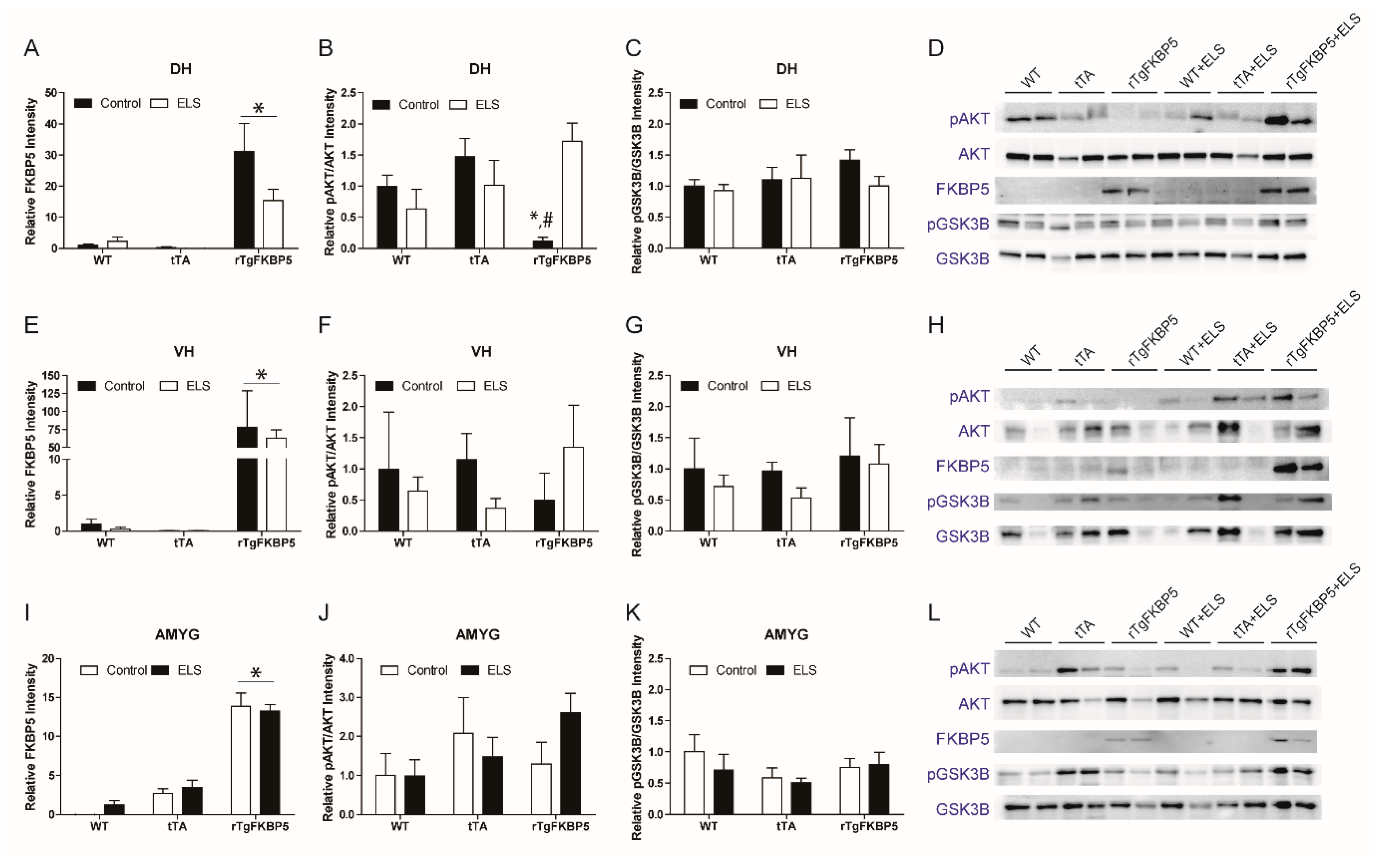Ijms 20 02738 g005 Ijms 20 02738 g005