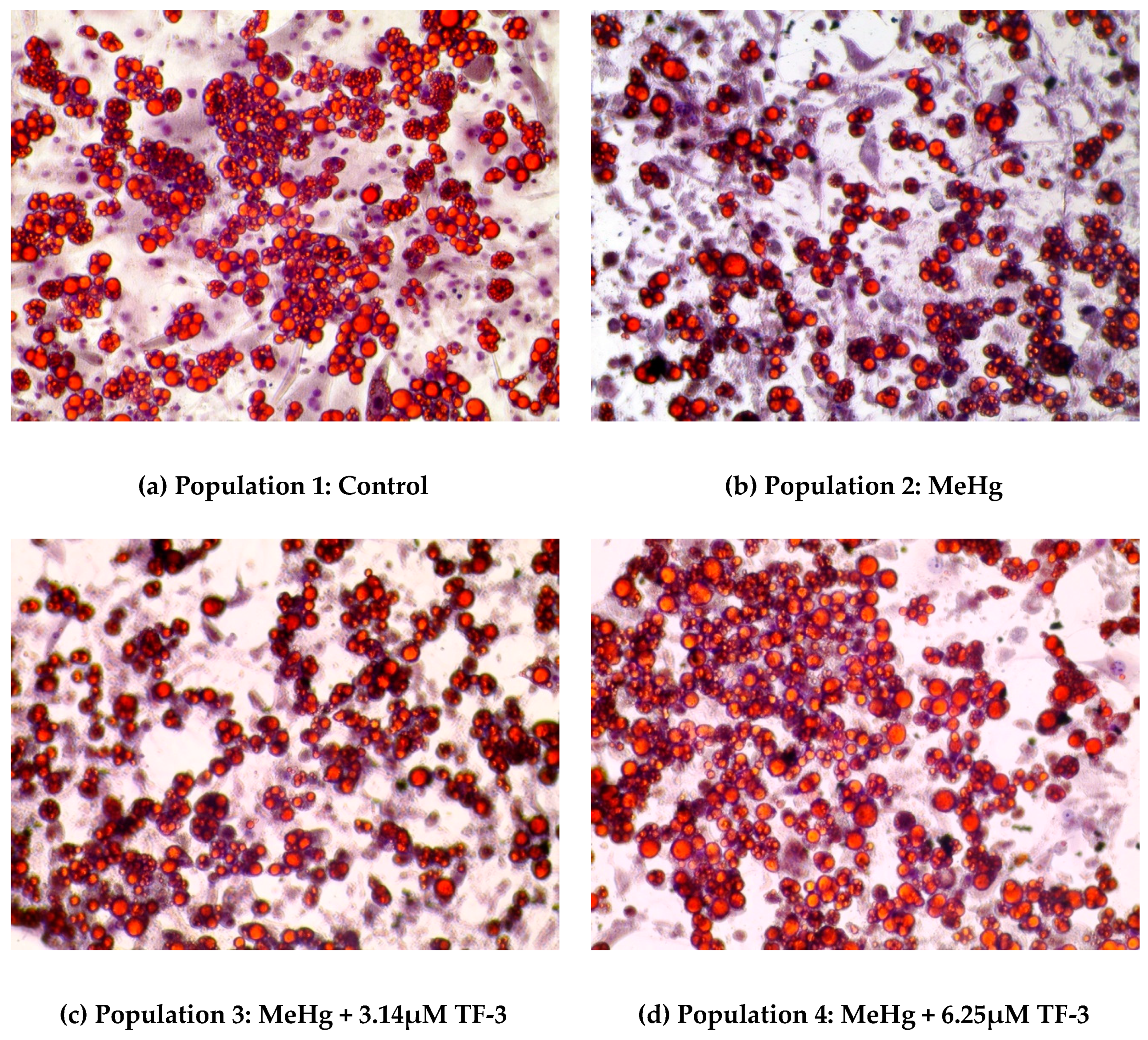 Ijms 20 02755 g001