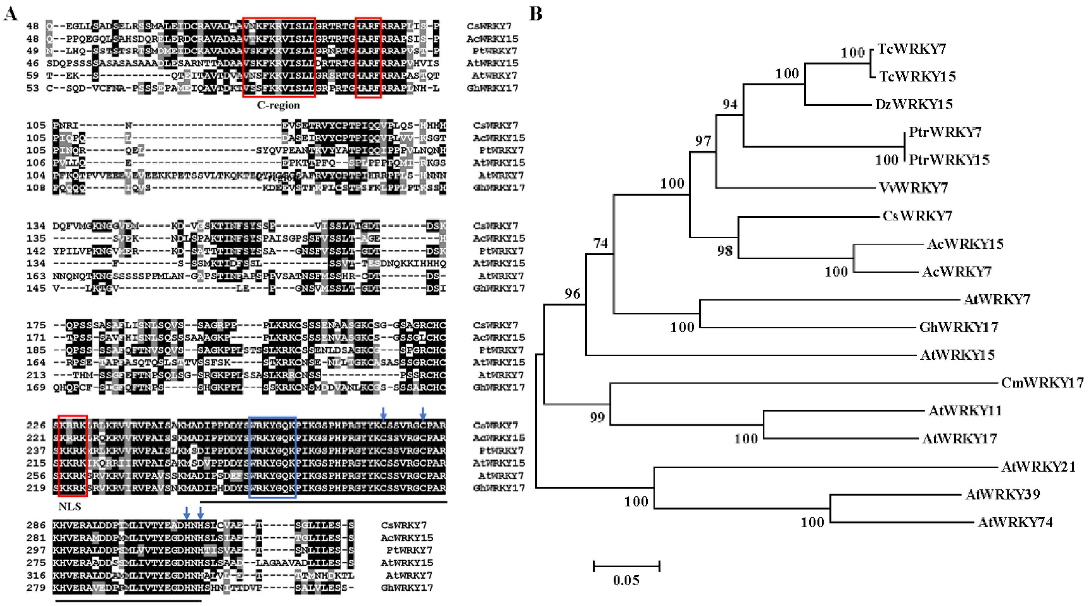 Ijms 20 02815 g001 Ijms 20 02815 g001