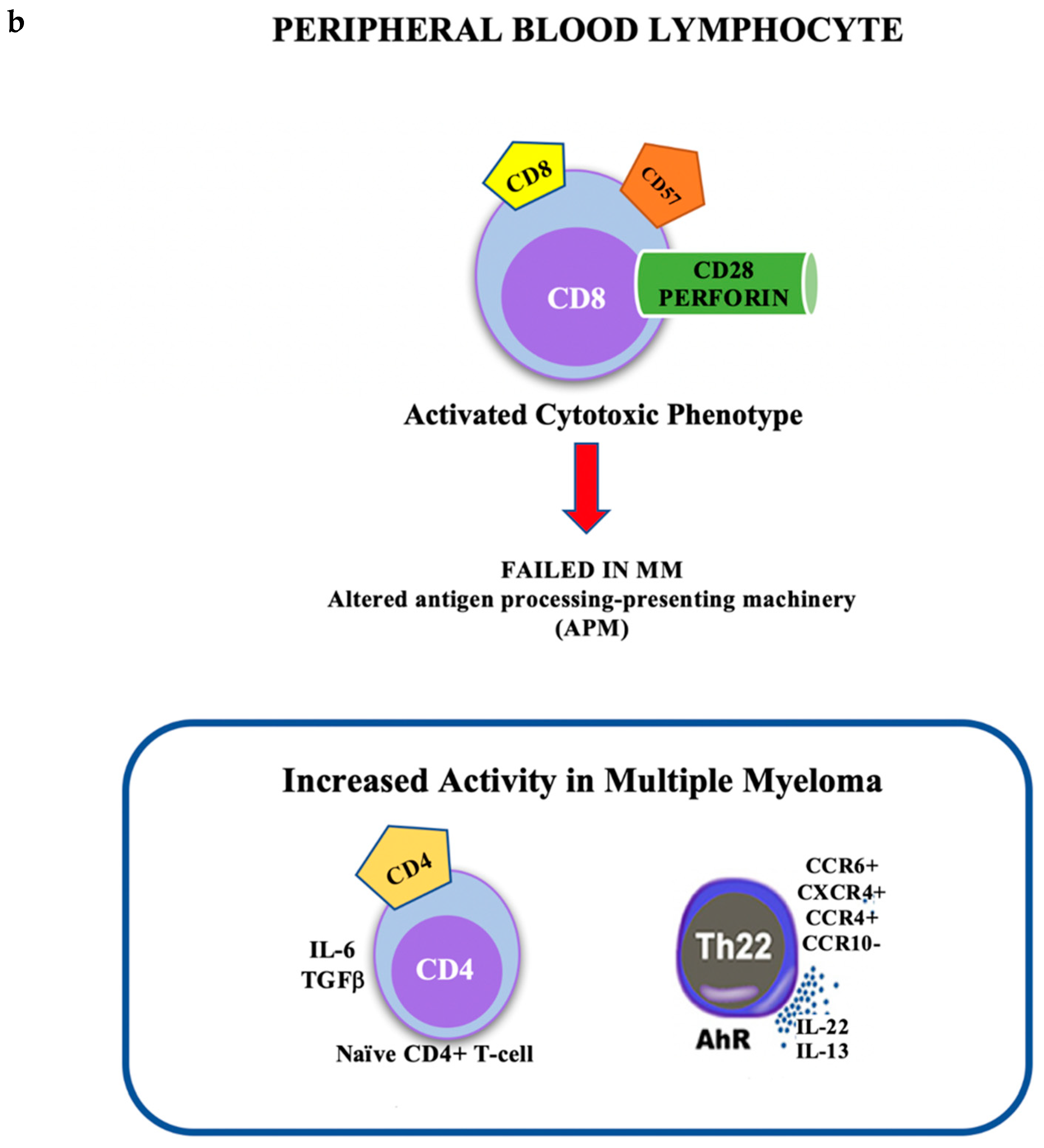 Ijms 20 02822 g002b Ijms 20 02822 g002b