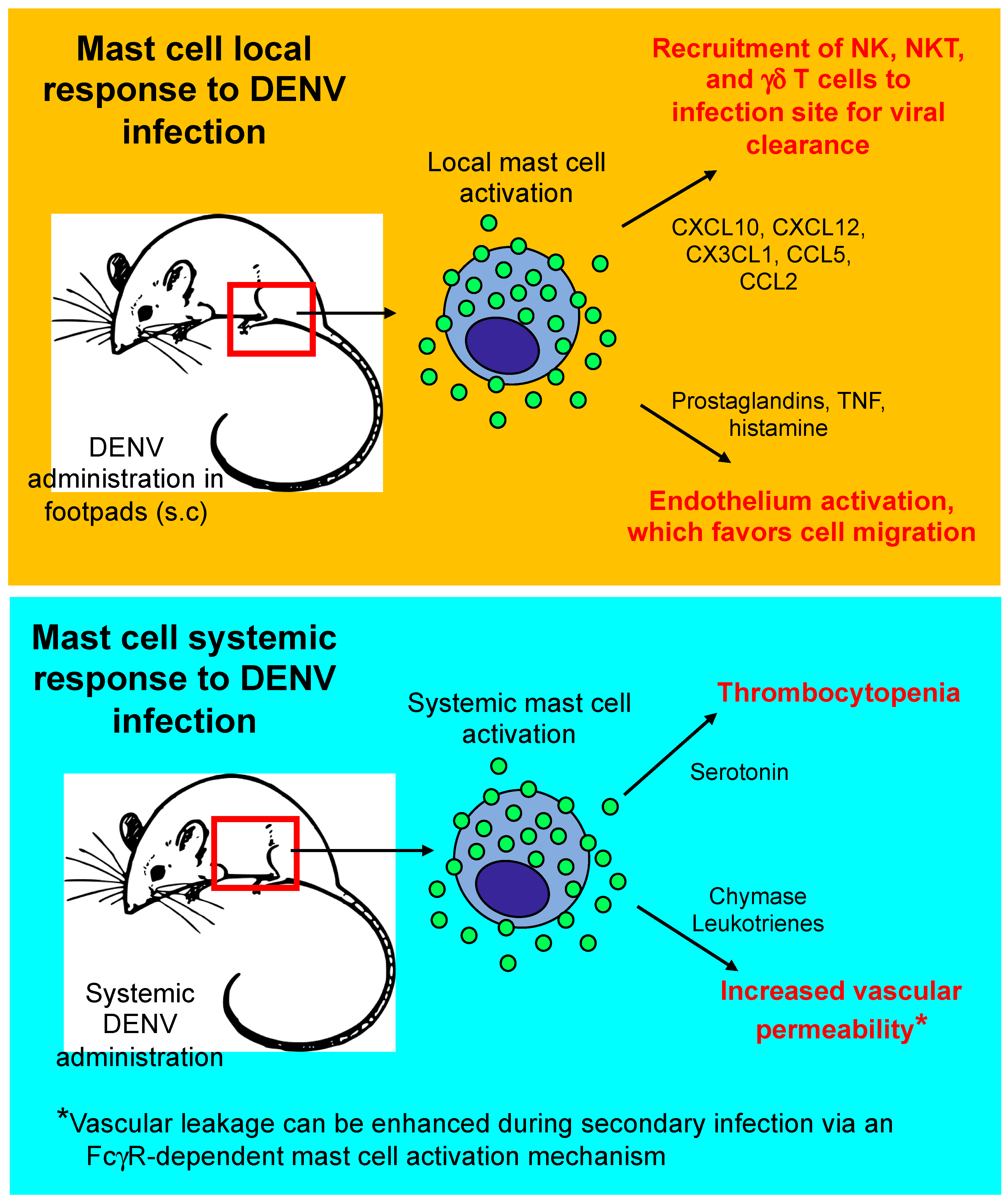 Ijms 20 02851 g001 Ijms 20 02851 g001