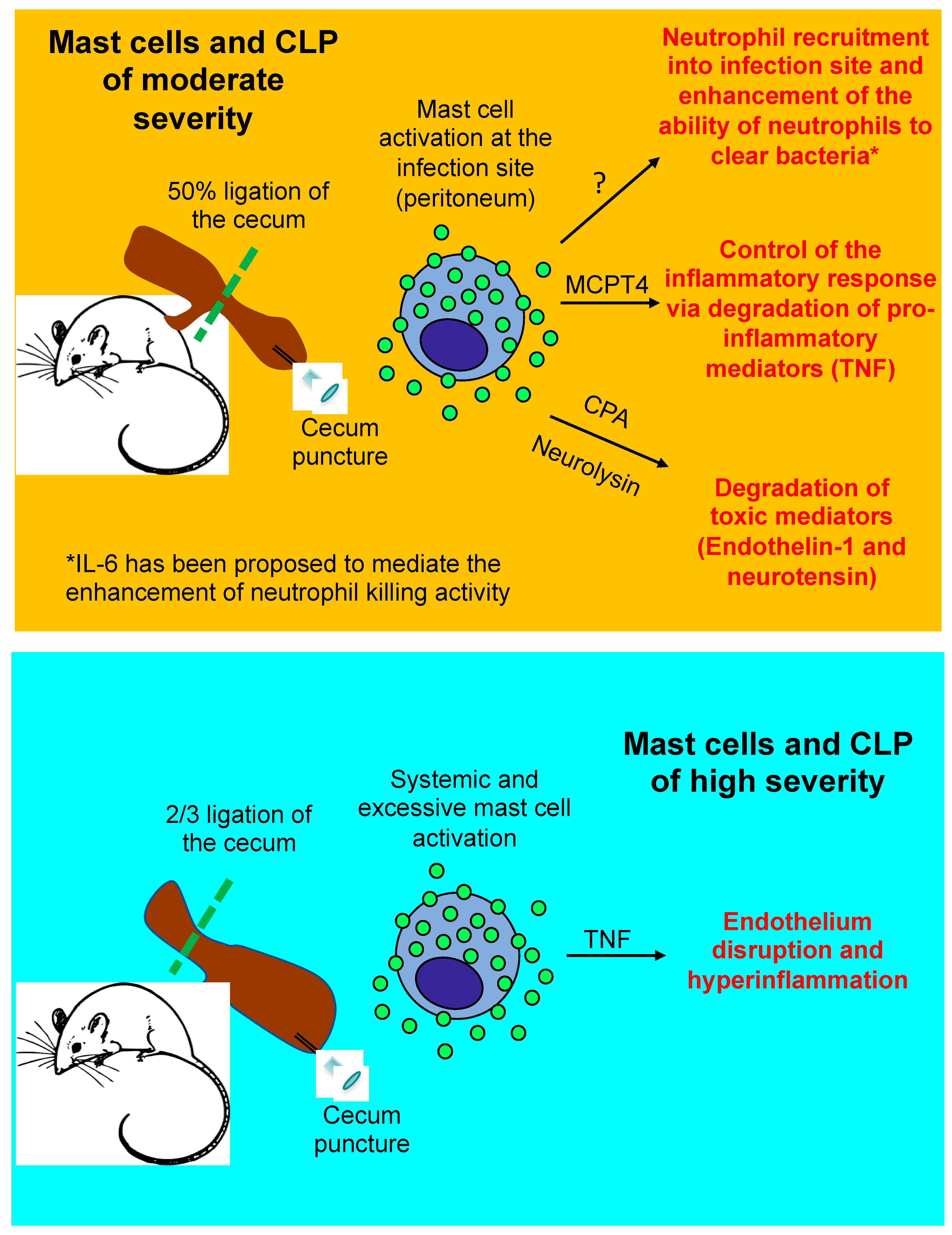 Ijms 20 02851 g002 Ijms 20 02851 g002