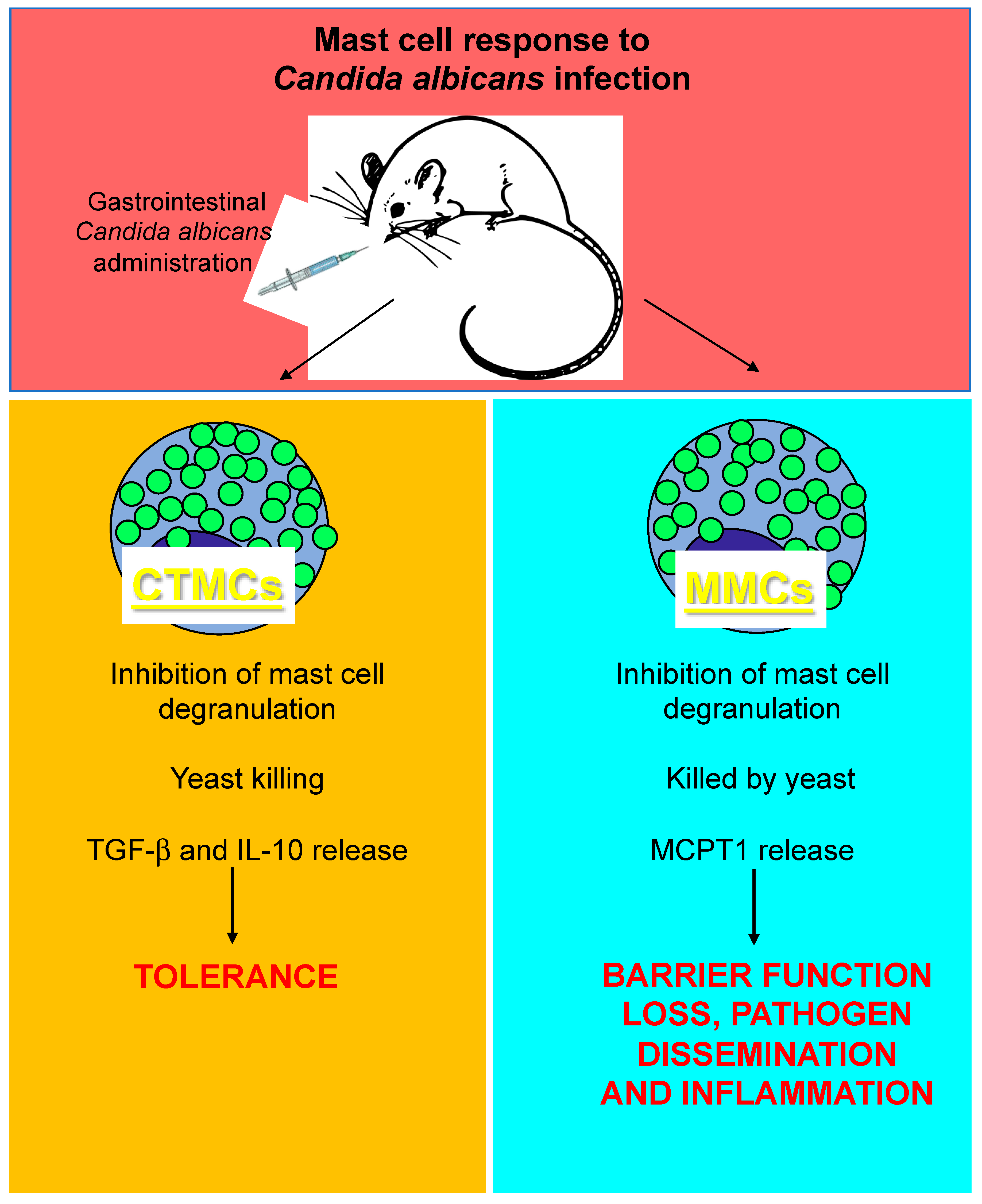 Ijms 20 02851 g003 Ijms 20 02851 g003