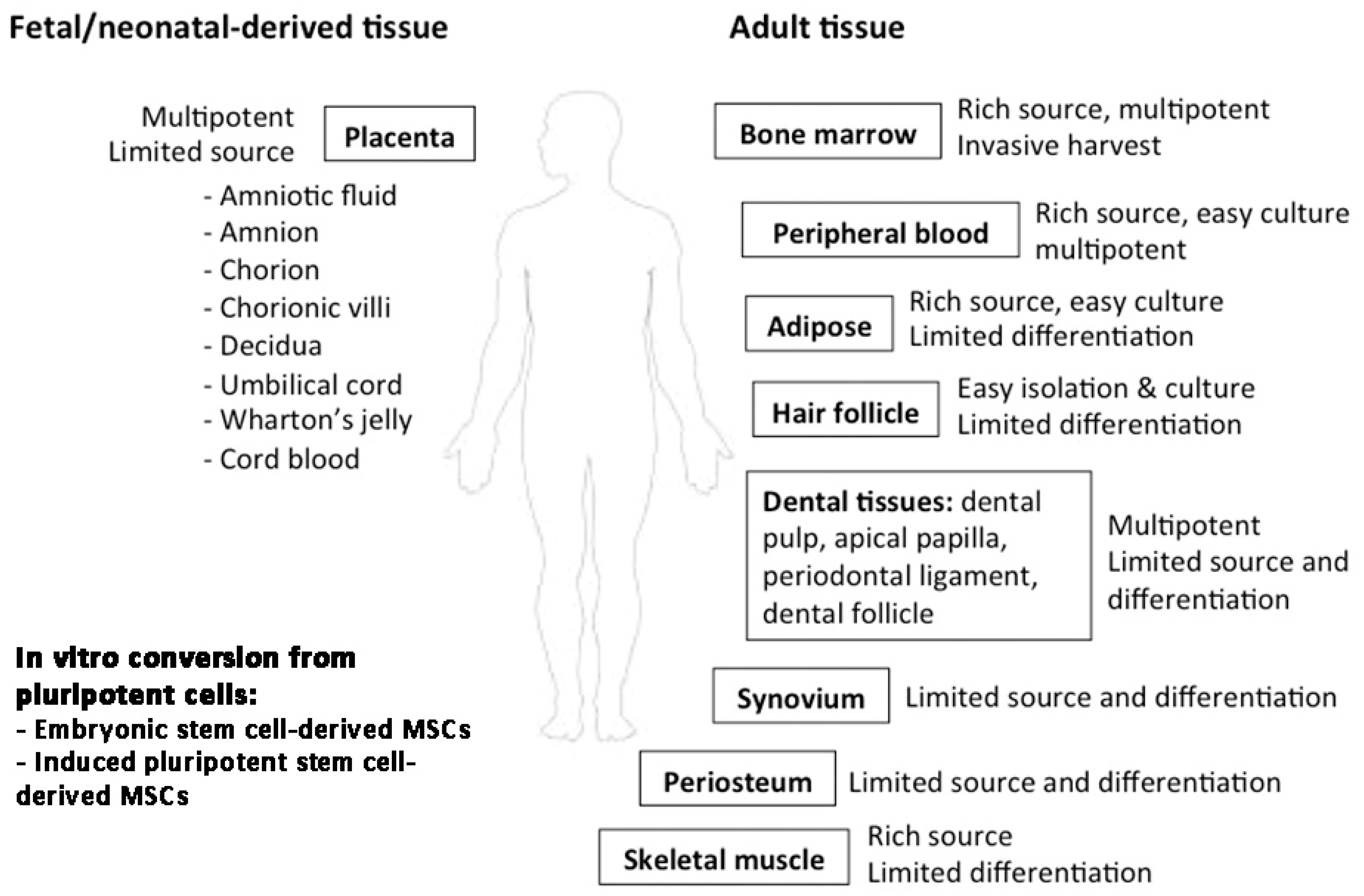 Ijms 20 02853 g002 Ijms 20 02853 g002