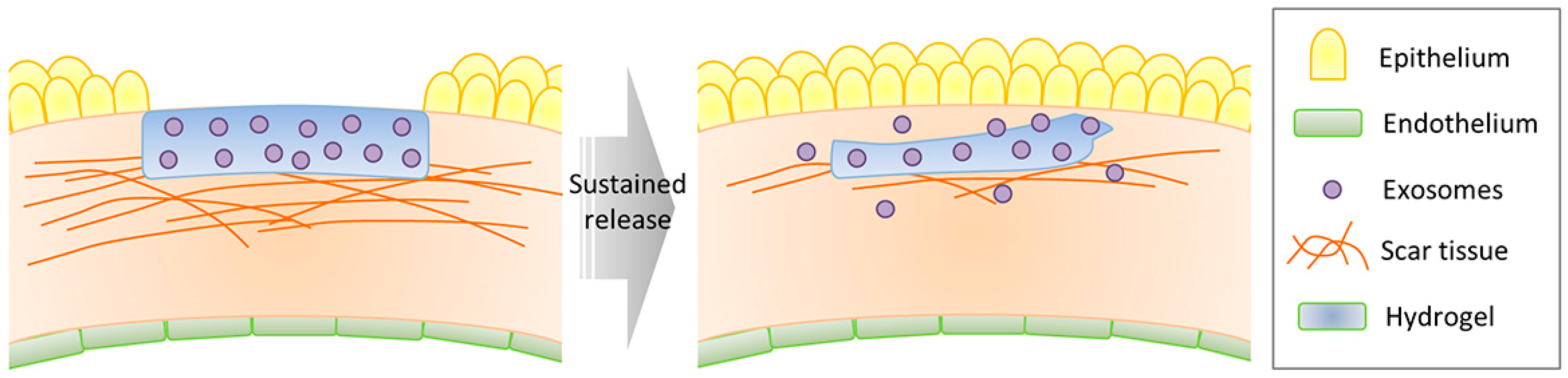 Ijms 20 02853 g005 Ijms 20 02853 g005