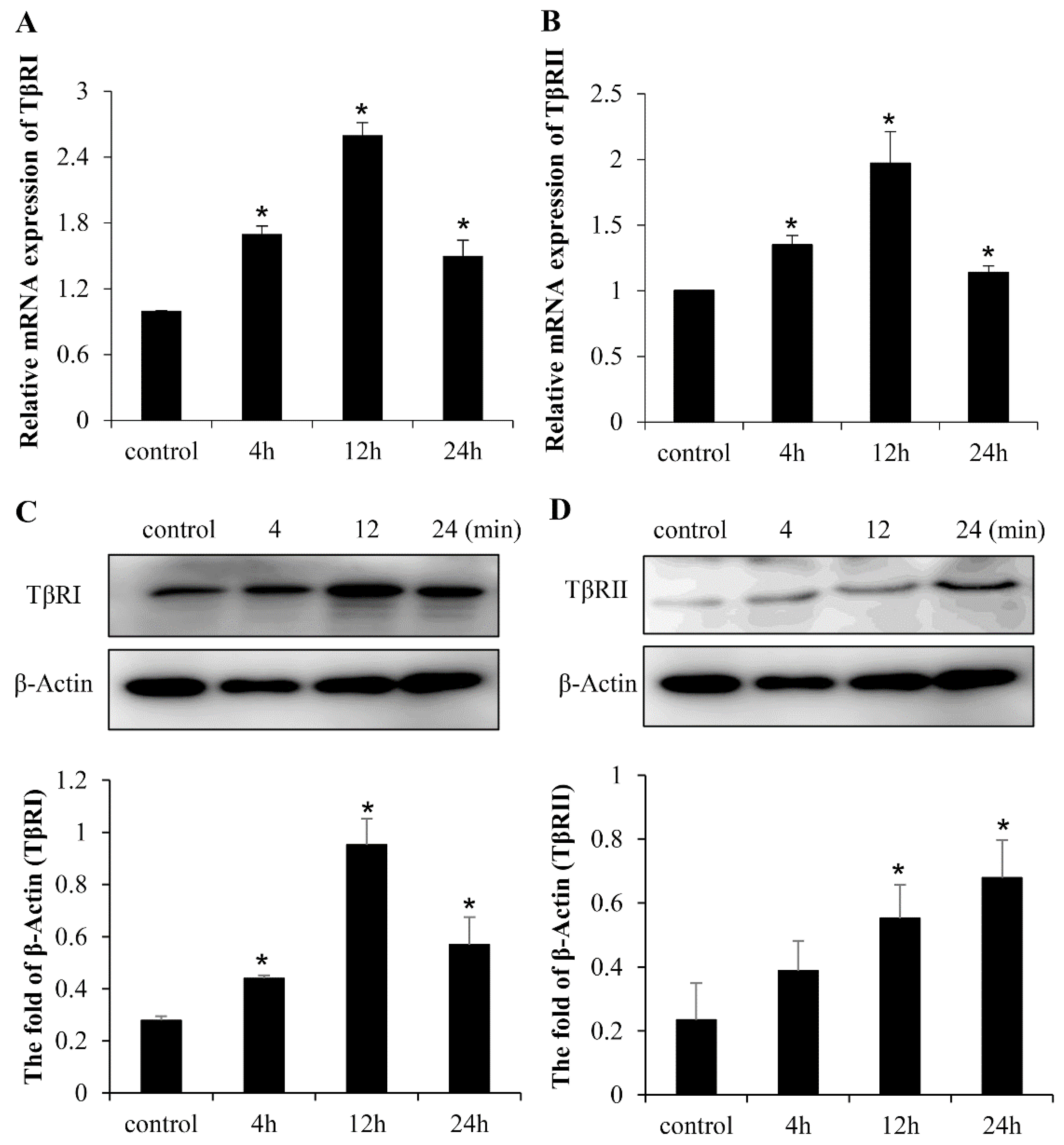 Ijms 20 02880 g003 Ijms 20 02880 g003