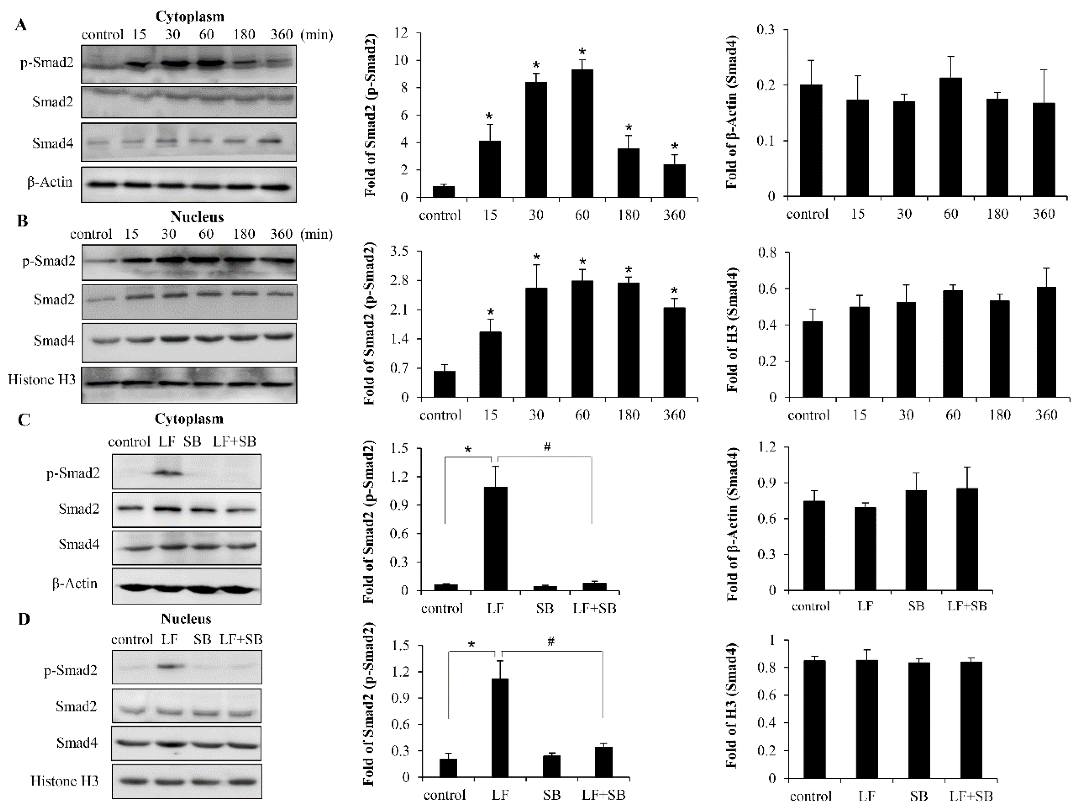 Ijms 20 02880 g005 Ijms 20 02880 g005