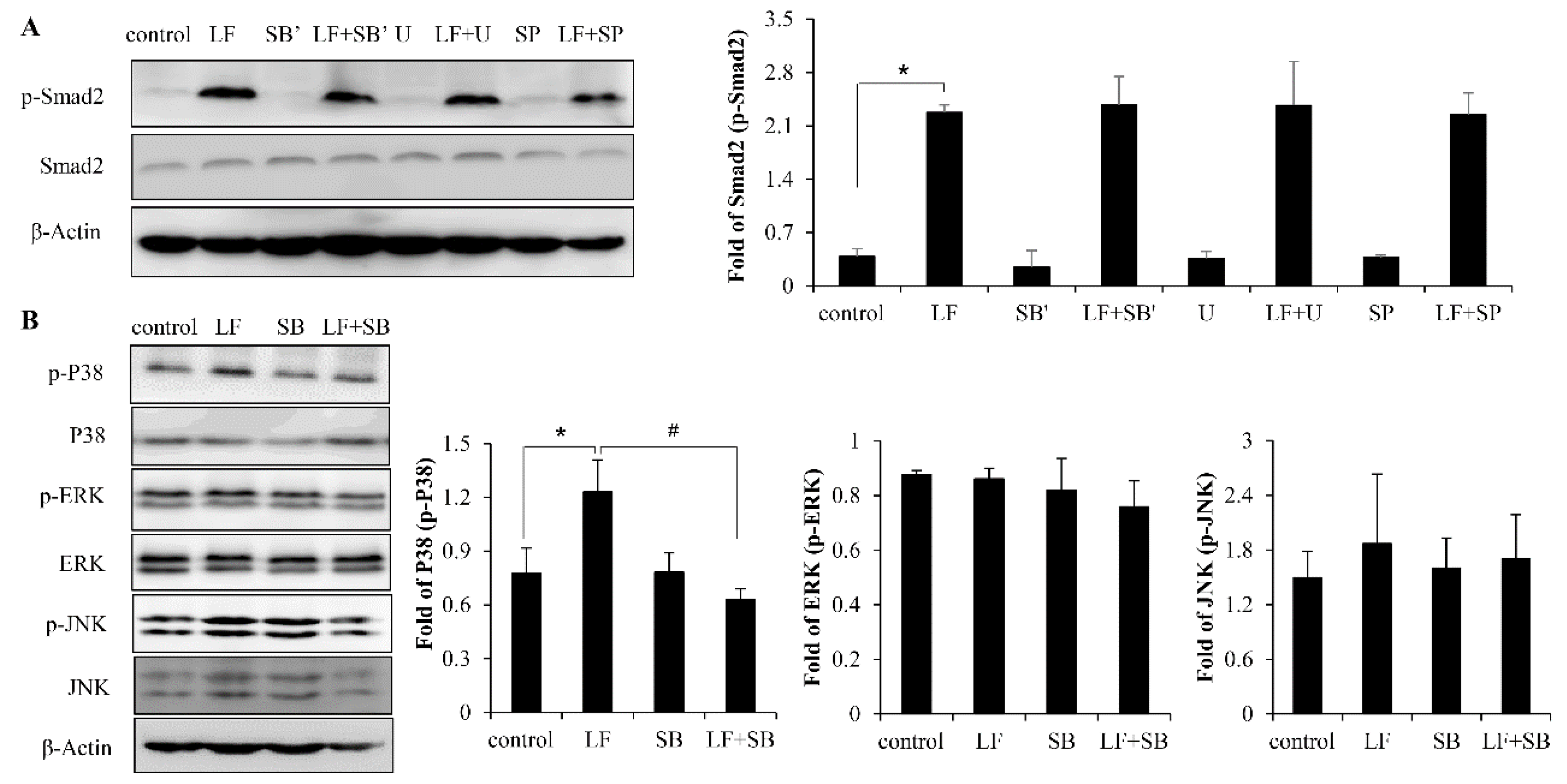 Ijms 20 02880 g006 Ijms 20 02880 g006