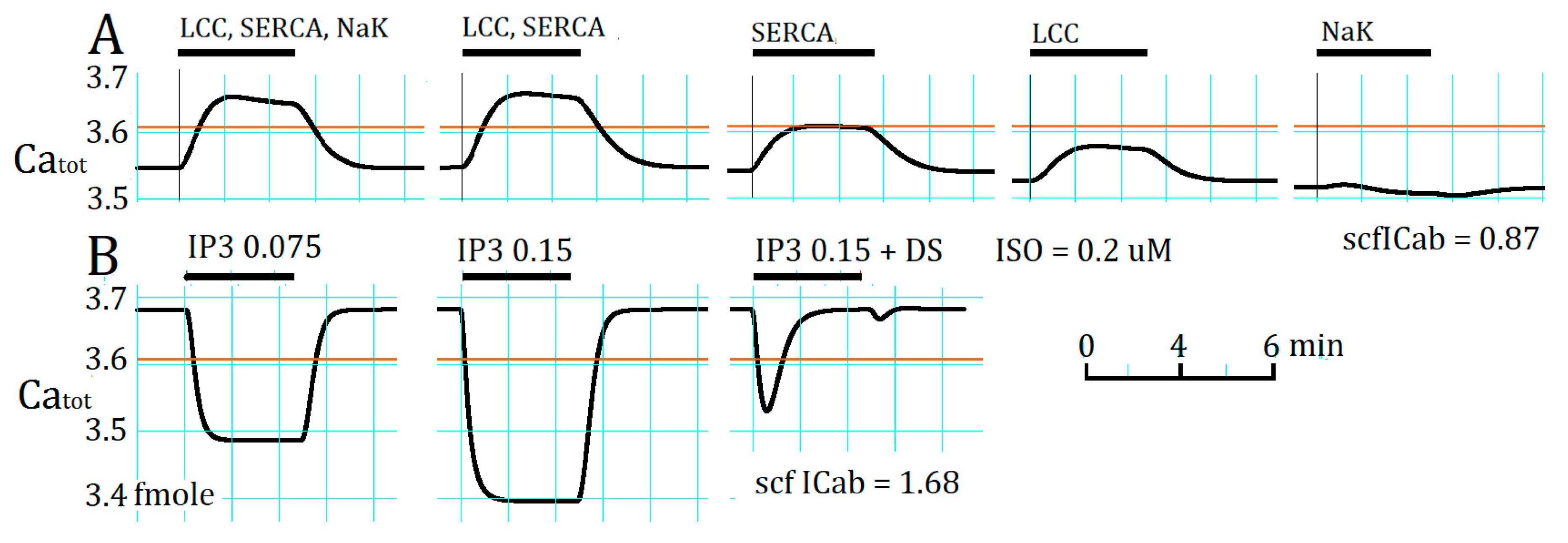 Ijms 20 02913 g004 Ijms 20 02913 g004