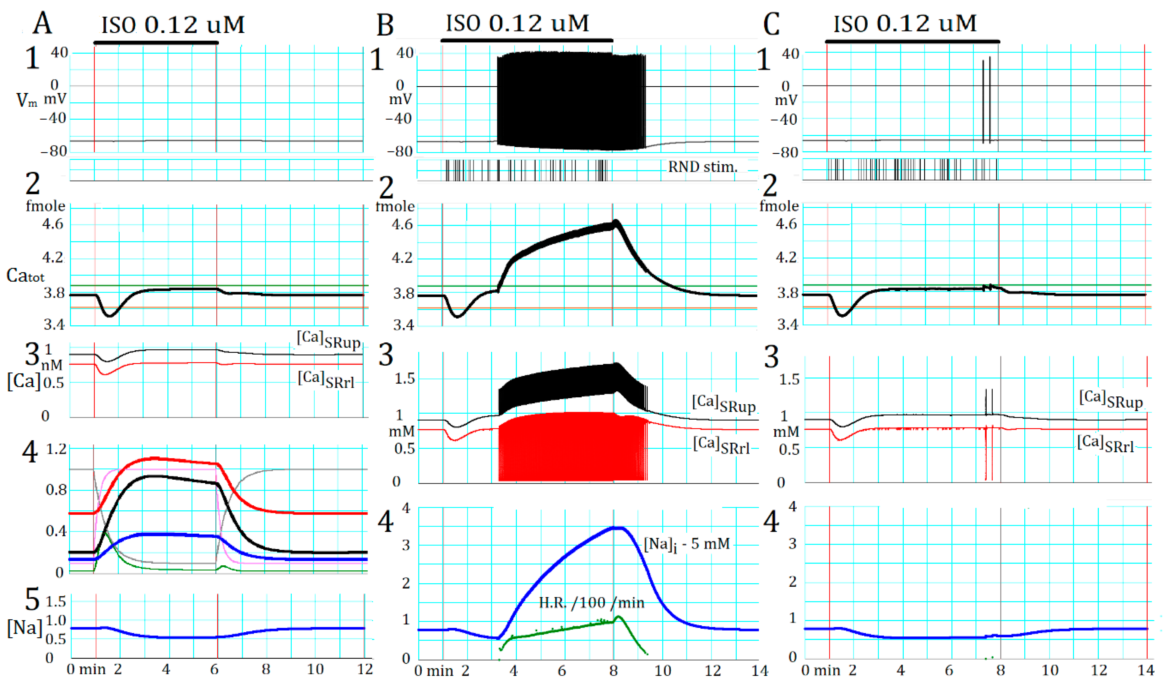 Ijms 20 02913 g005 Ijms 20 02913 g005