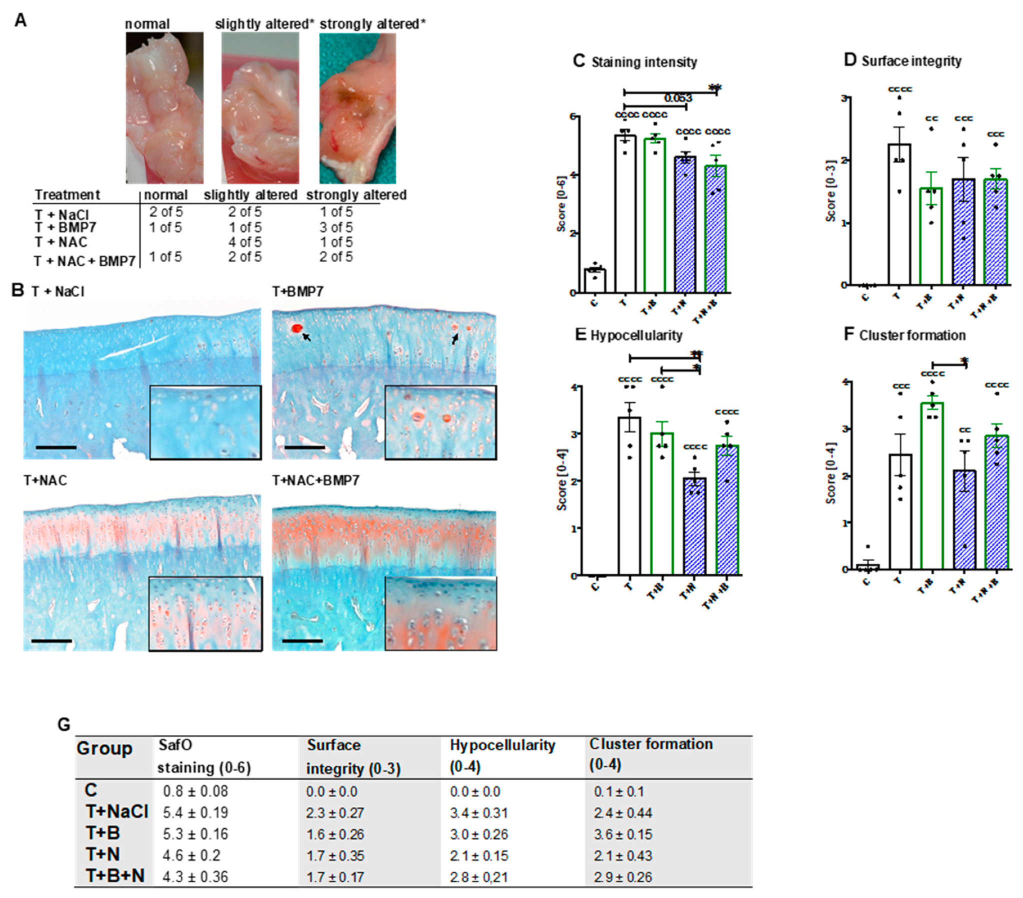 Ijms 20 02916 g001 Ijms 20 02916 g001