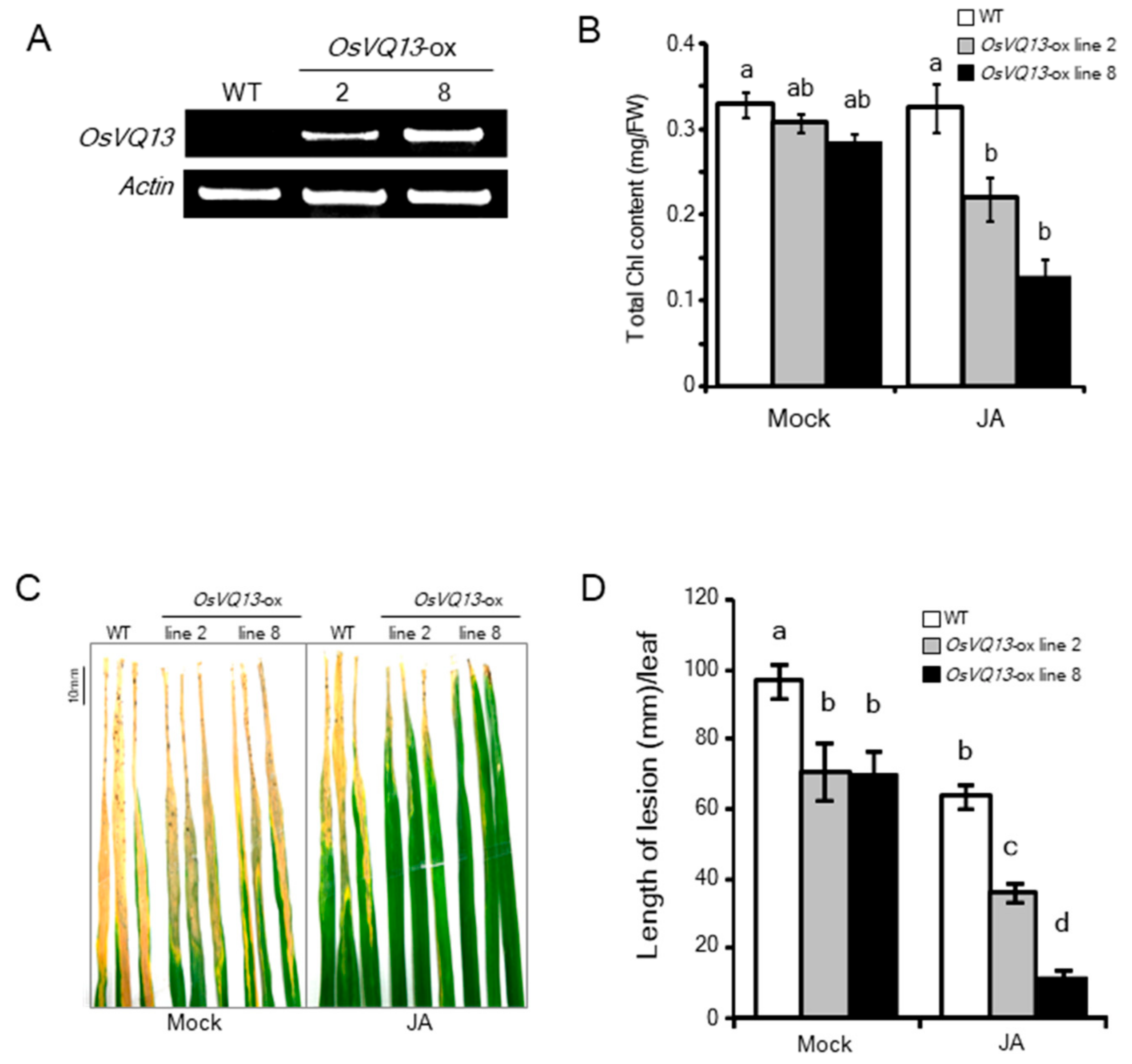 Ijms 20 02917 g002 Ijms 20 02917 g002
