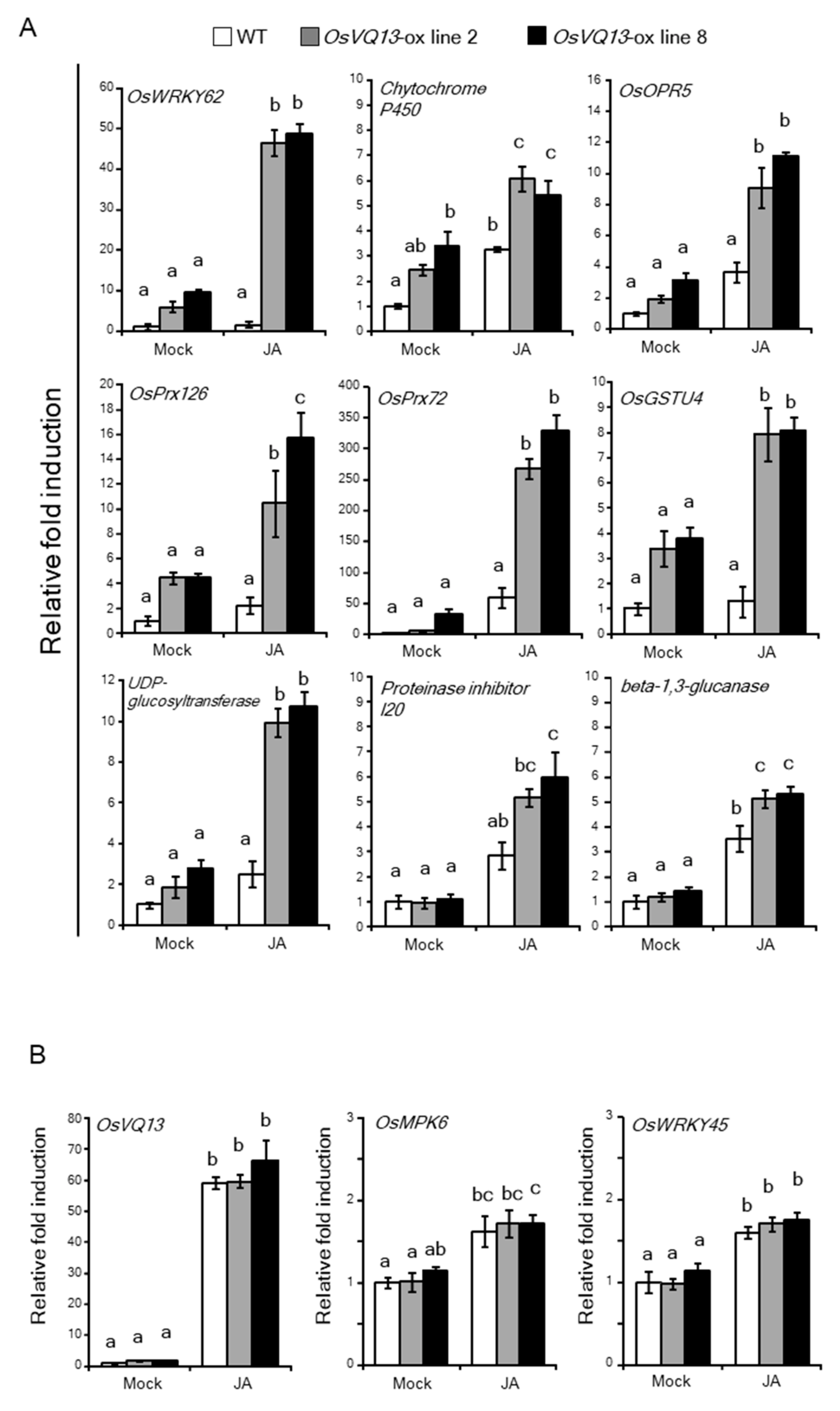 Ijms 20 02917 g005 Ijms 20 02917 g005