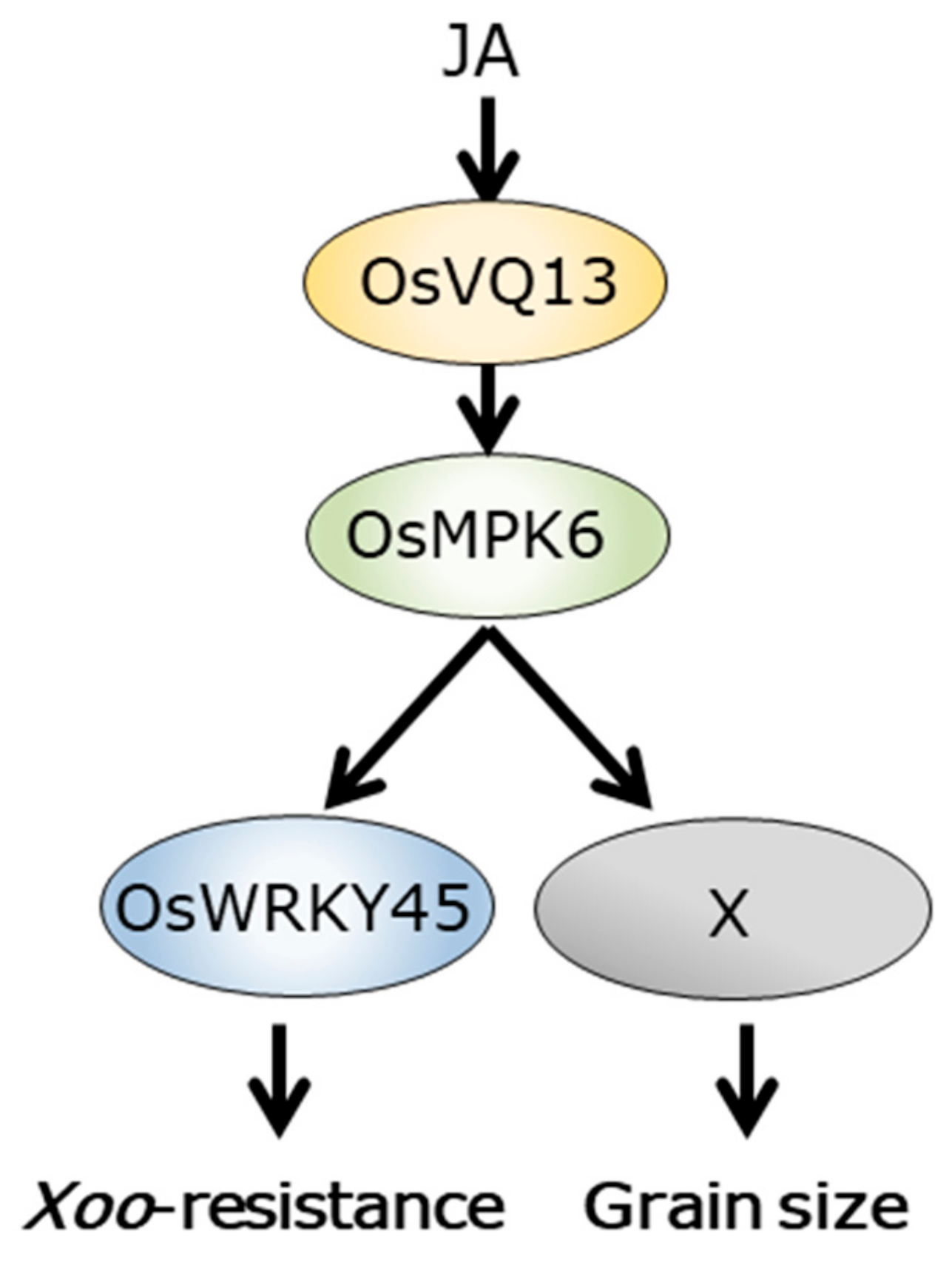 Ijms 20 02917 g007 Ijms 20 02917 g007