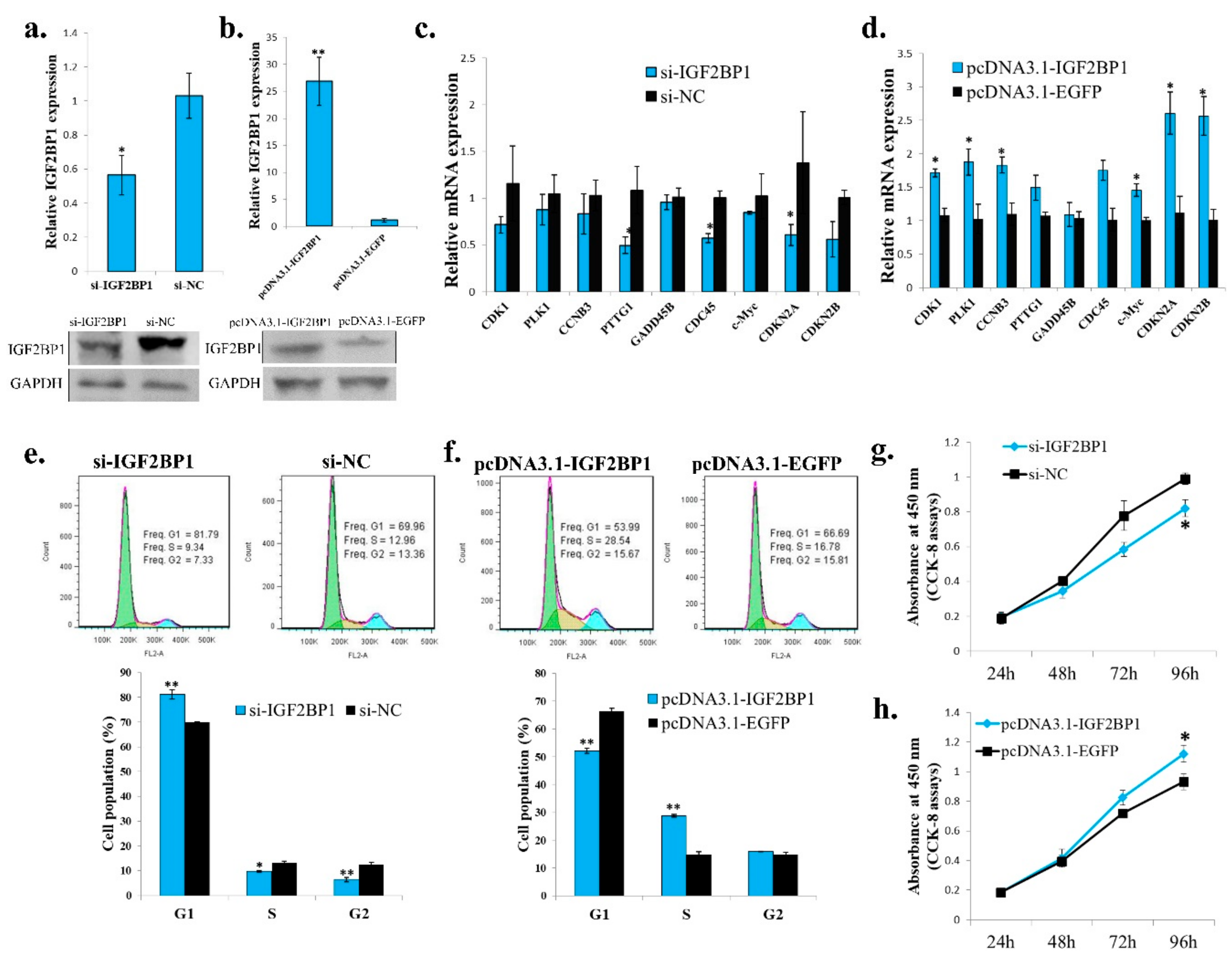 Ijms 20 02923 g005 Ijms 20 02923 g005
