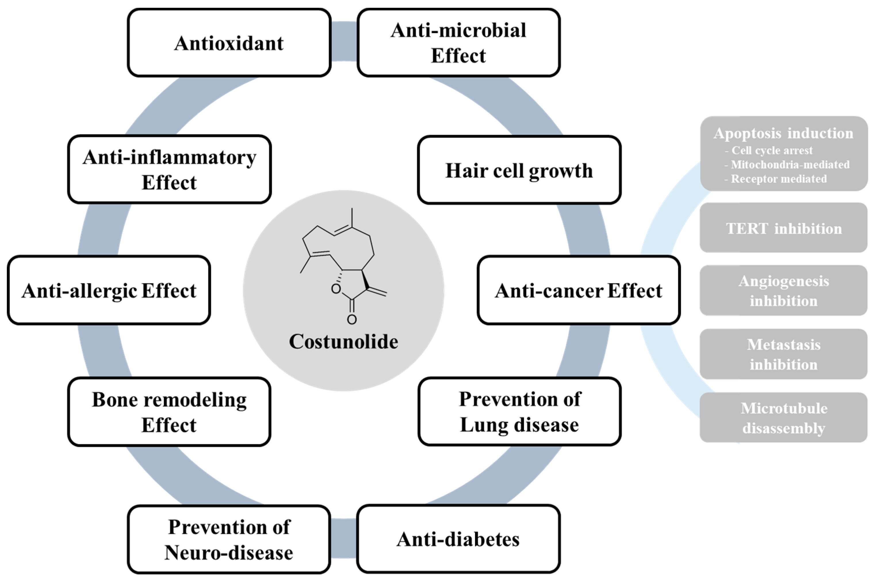 Ijms 20 02926 g004 Ijms 20 02926 g004