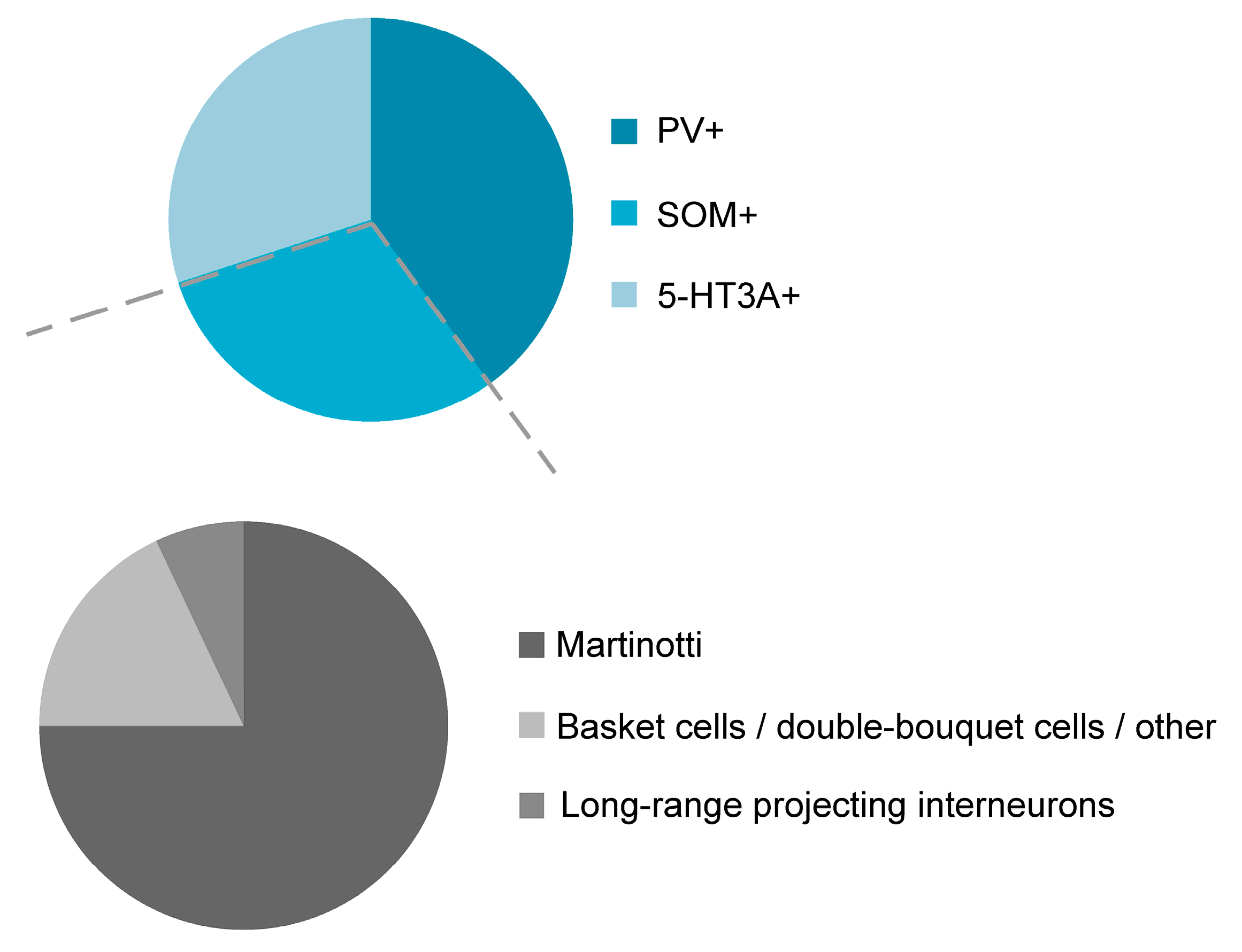 Ijms 20 02952 g001 Ijms 20 02952 g001