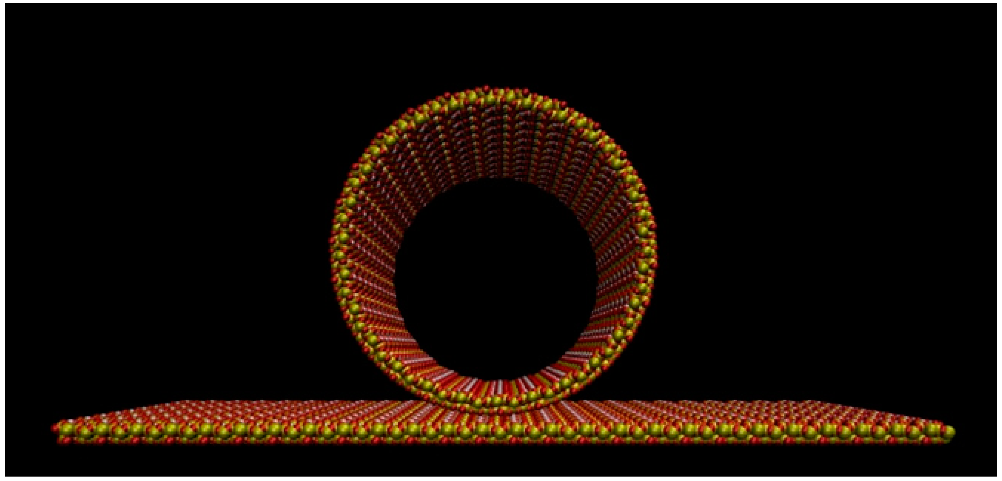 Ijms 20 02965 g007 Ijms 20 02965 g007