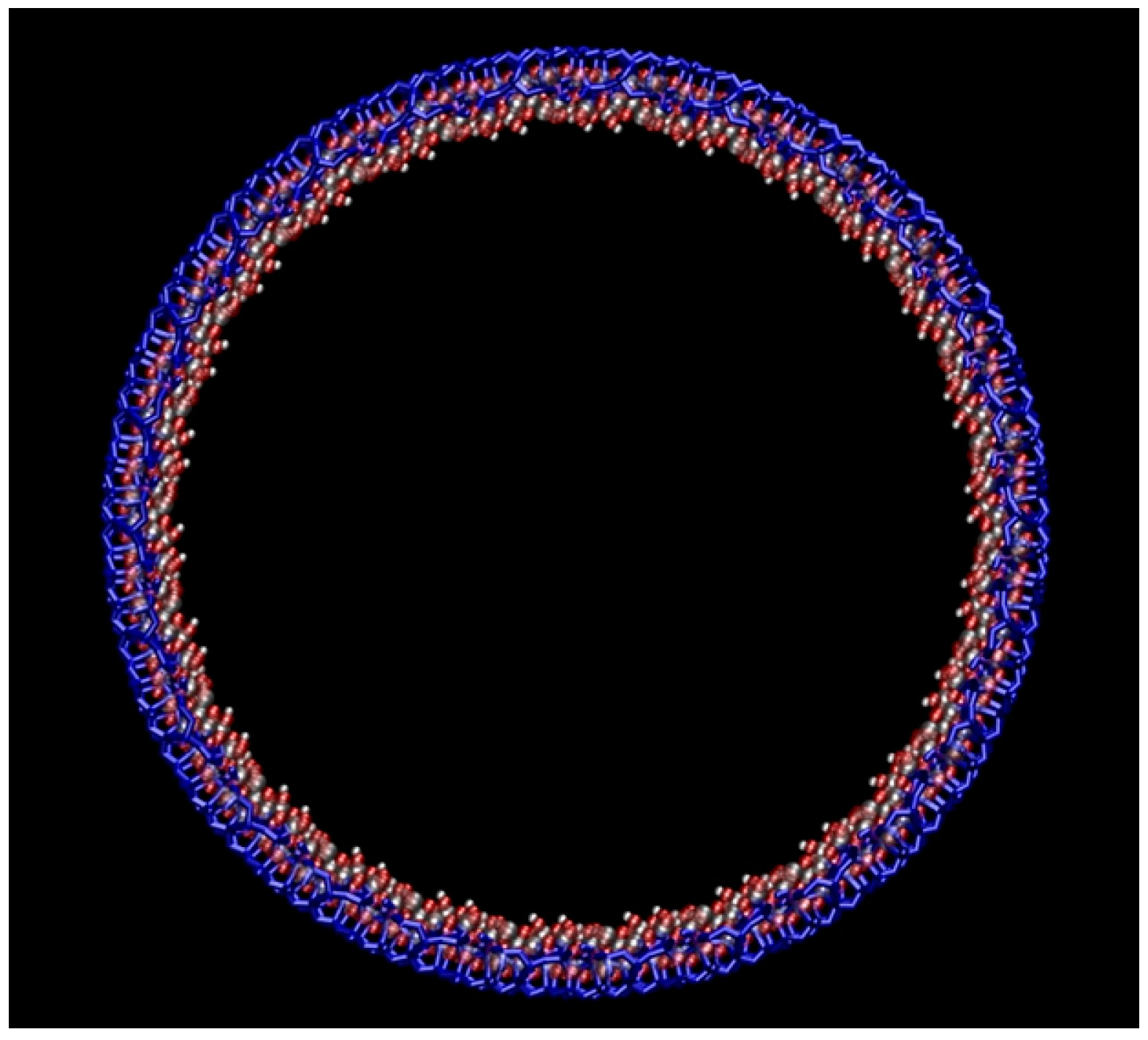 Ijms 20 02965 g009 Ijms 20 02965 g009