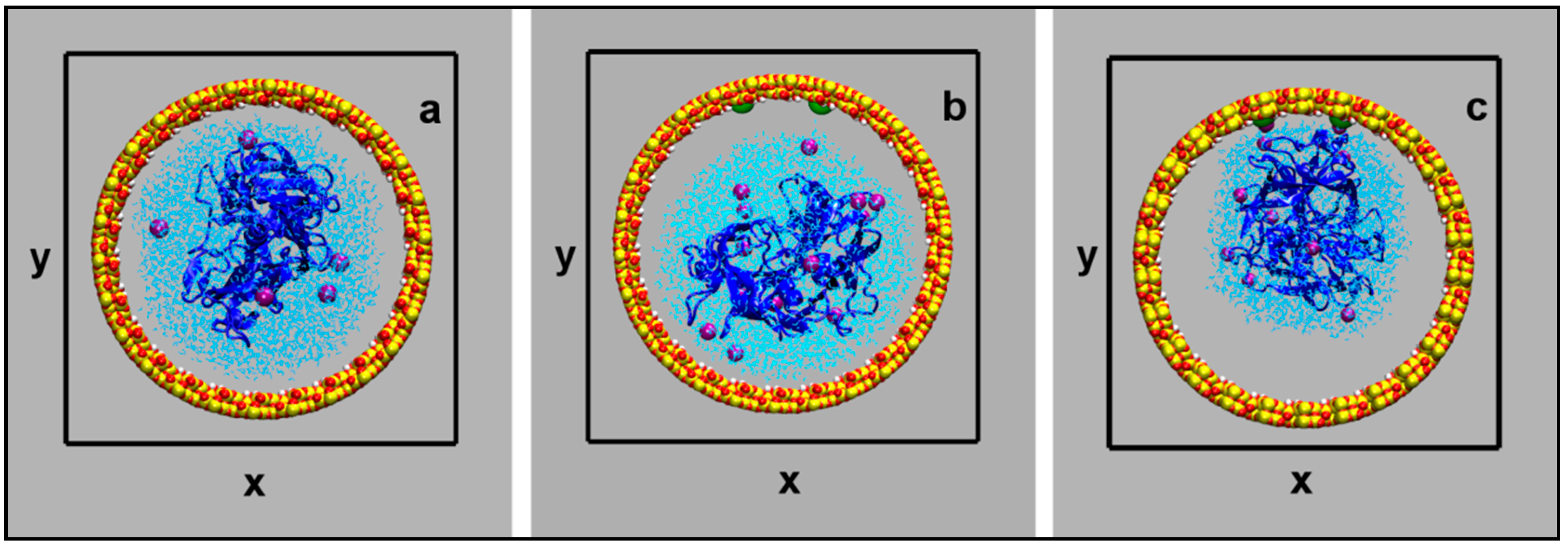 Ijms 20 02965 g011 Ijms 20 02965 g011