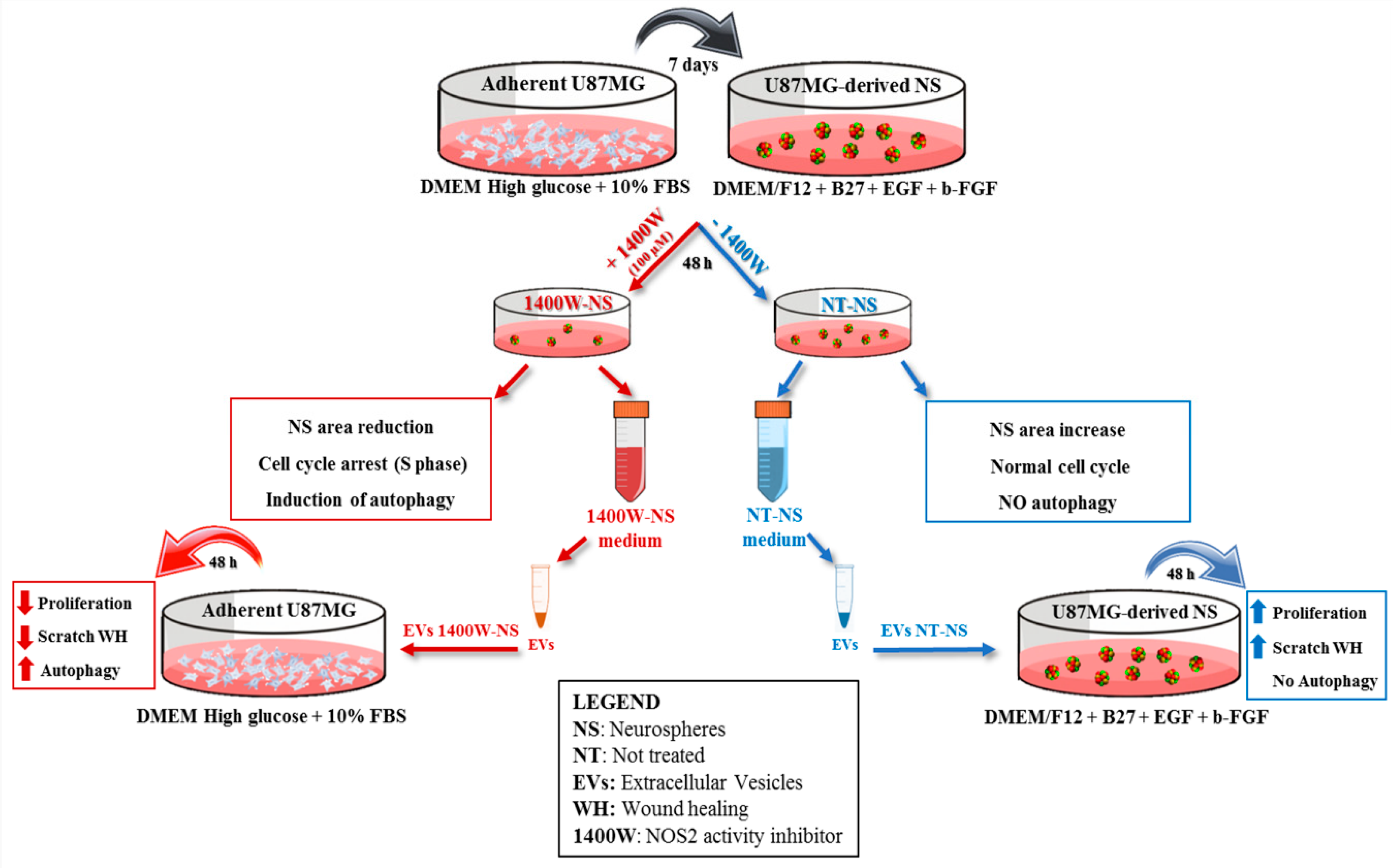 Ijms 20 03010 g001 Ijms 20 03010 g001