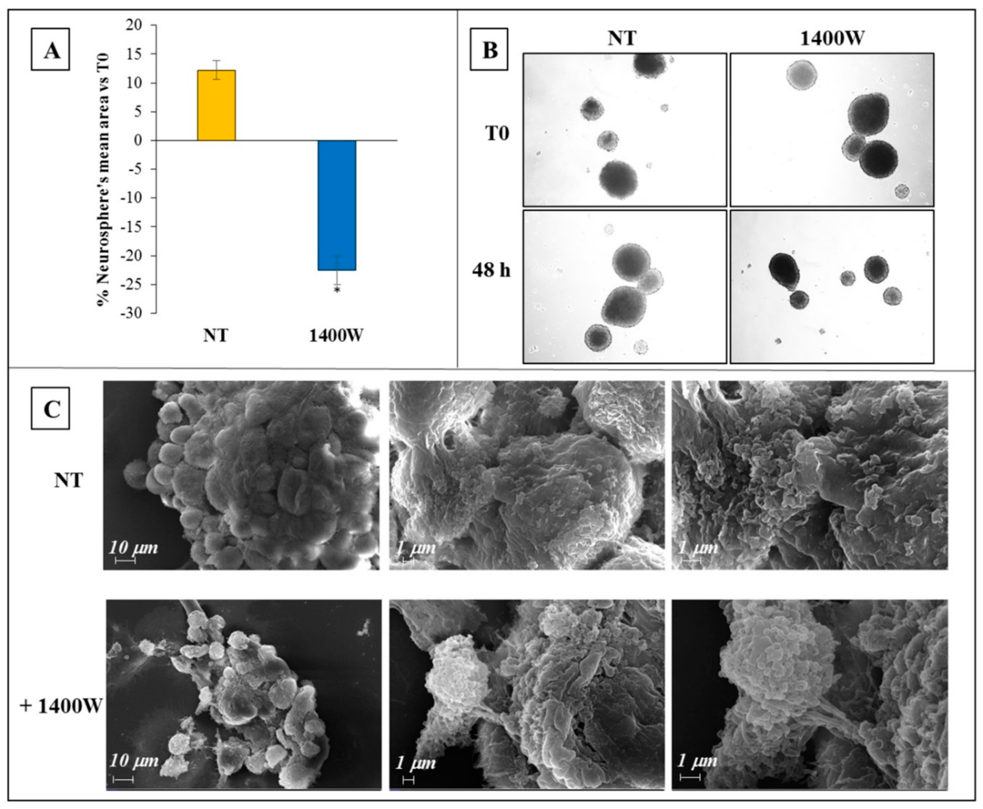 Ijms 20 03010 g002 Ijms 20 03010 g002