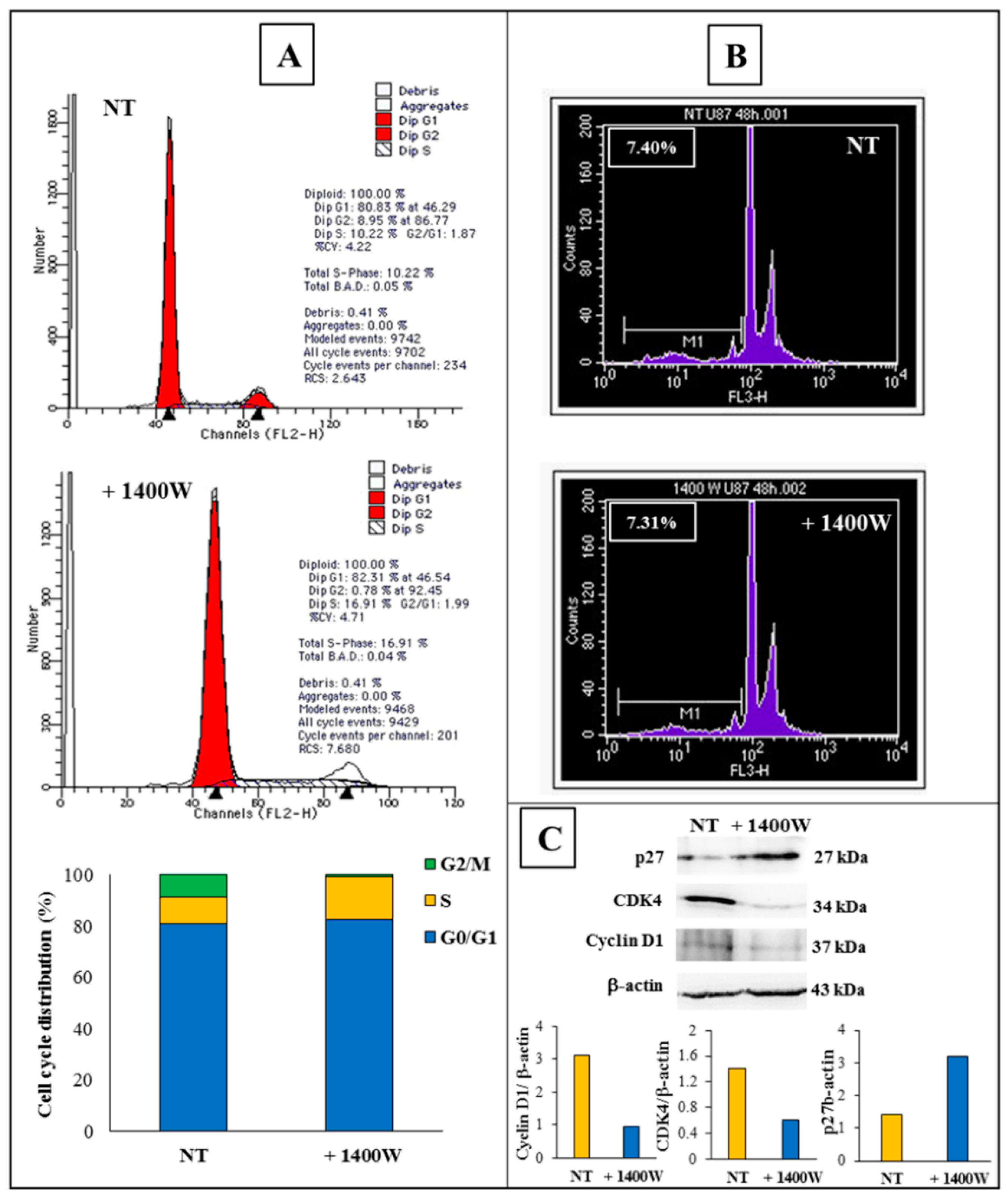 Ijms 20 03010 g003 Ijms 20 03010 g003
