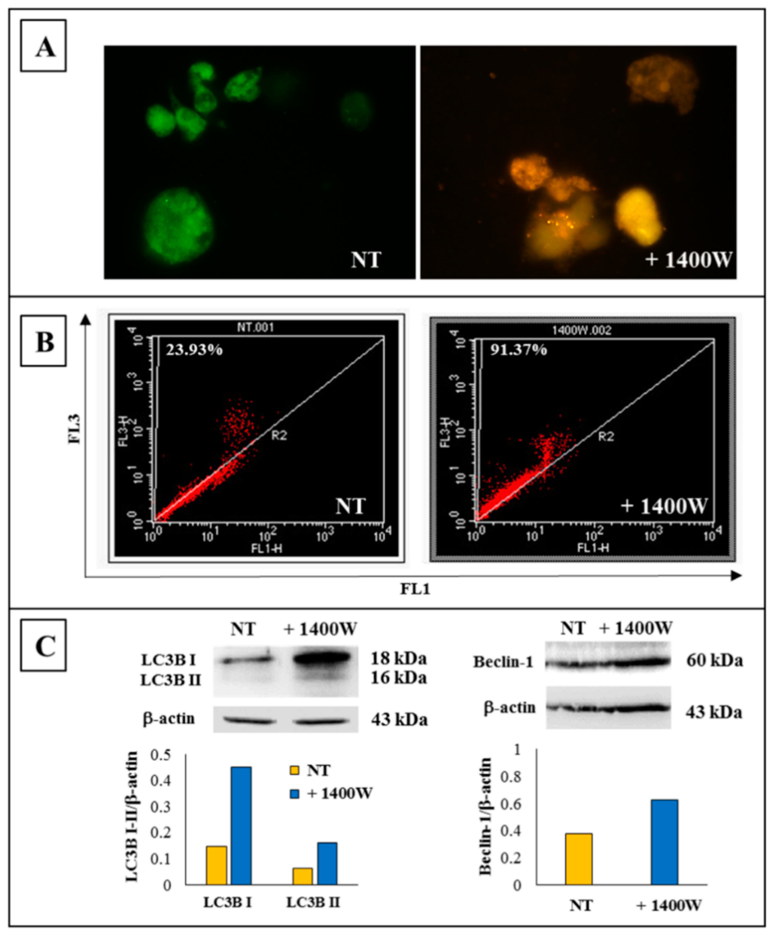 Ijms 20 03010 g004 Ijms 20 03010 g004