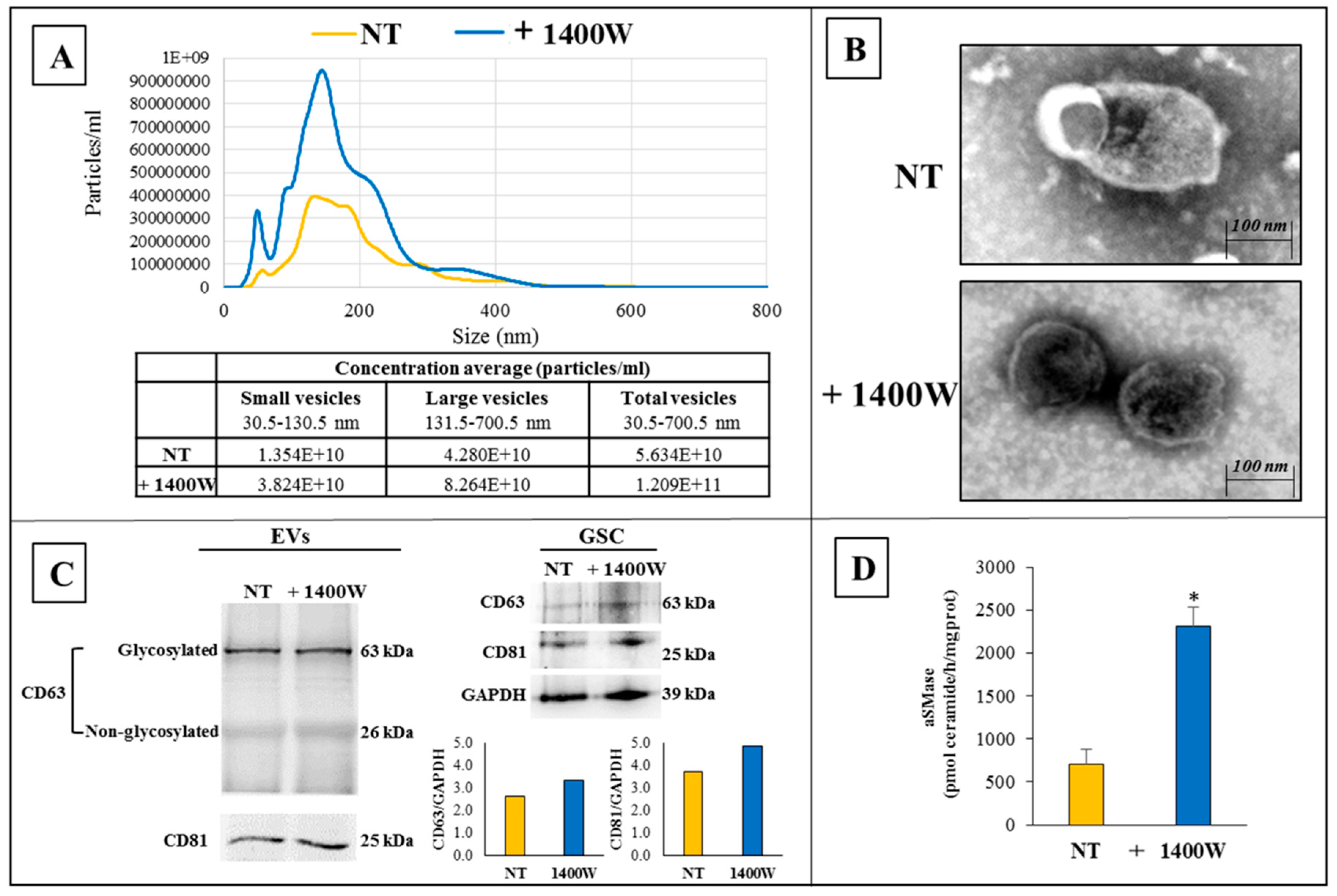Ijms 20 03010 g005 Ijms 20 03010 g005