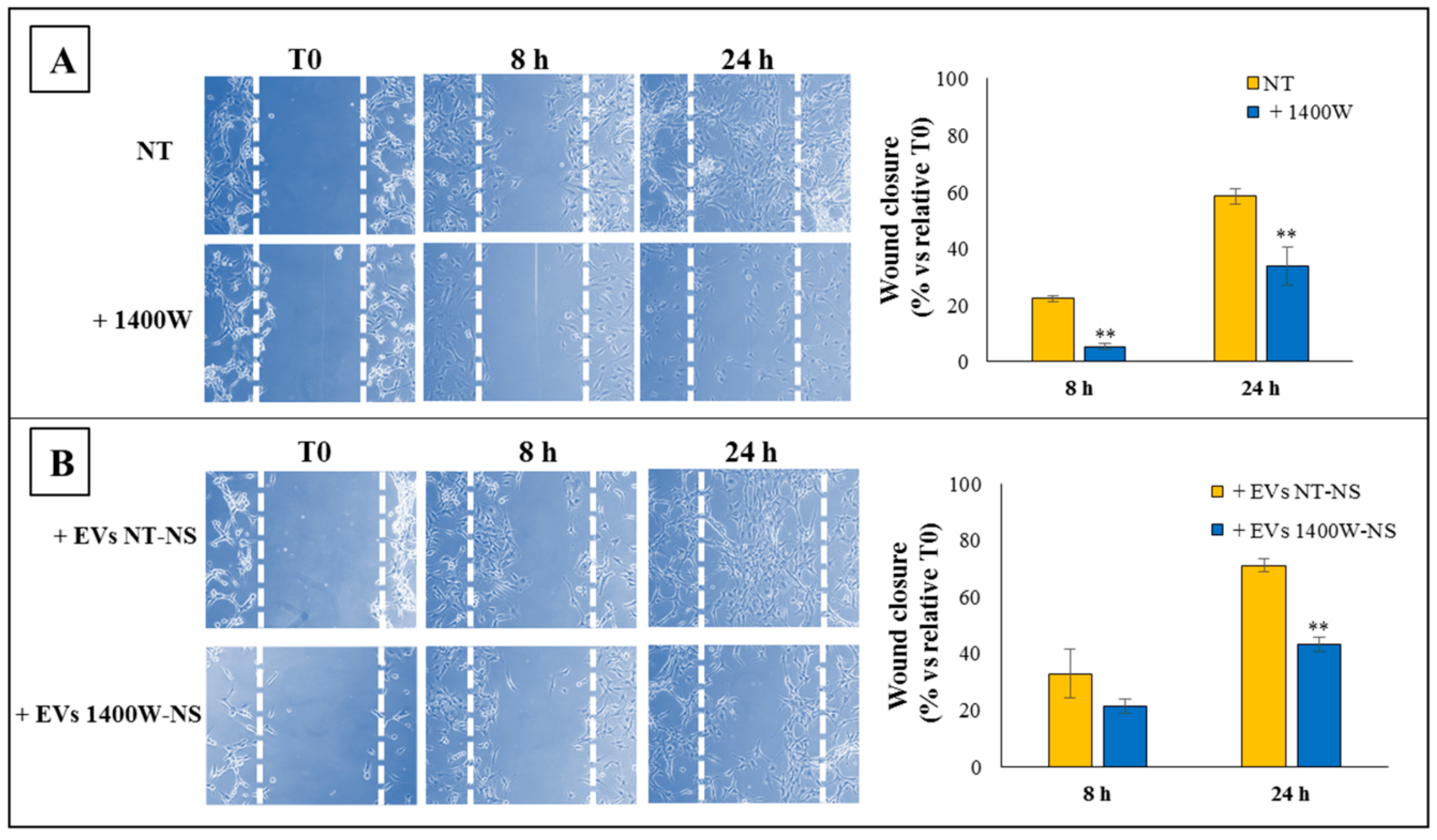 Ijms 20 03010 g007 Ijms 20 03010 g007