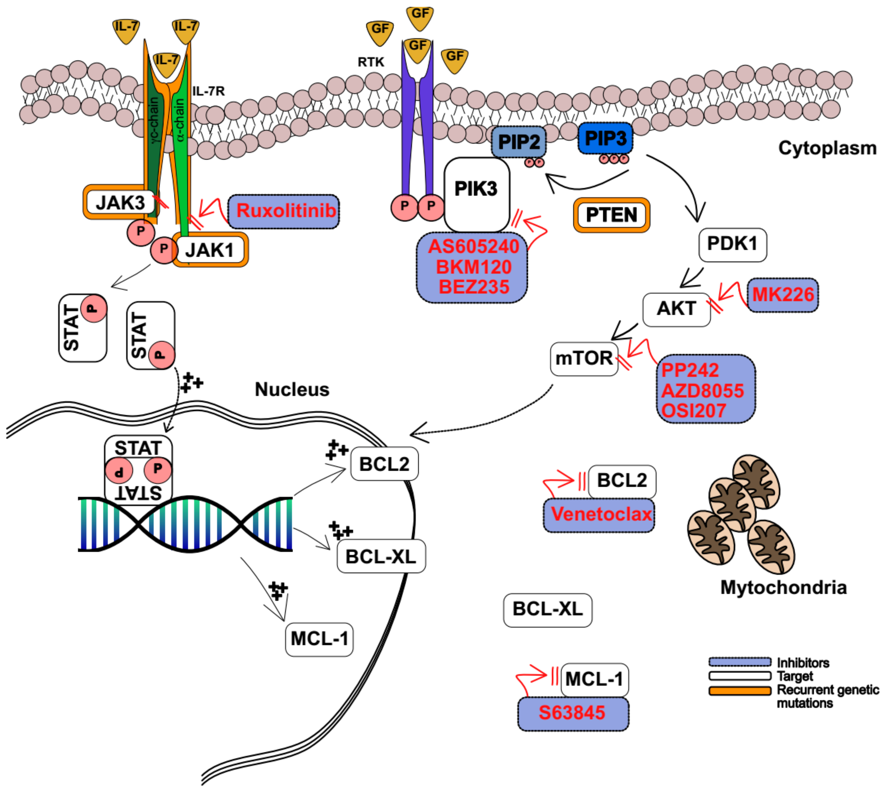 Ijms 20 03021 g002 Ijms 20 03021 g002