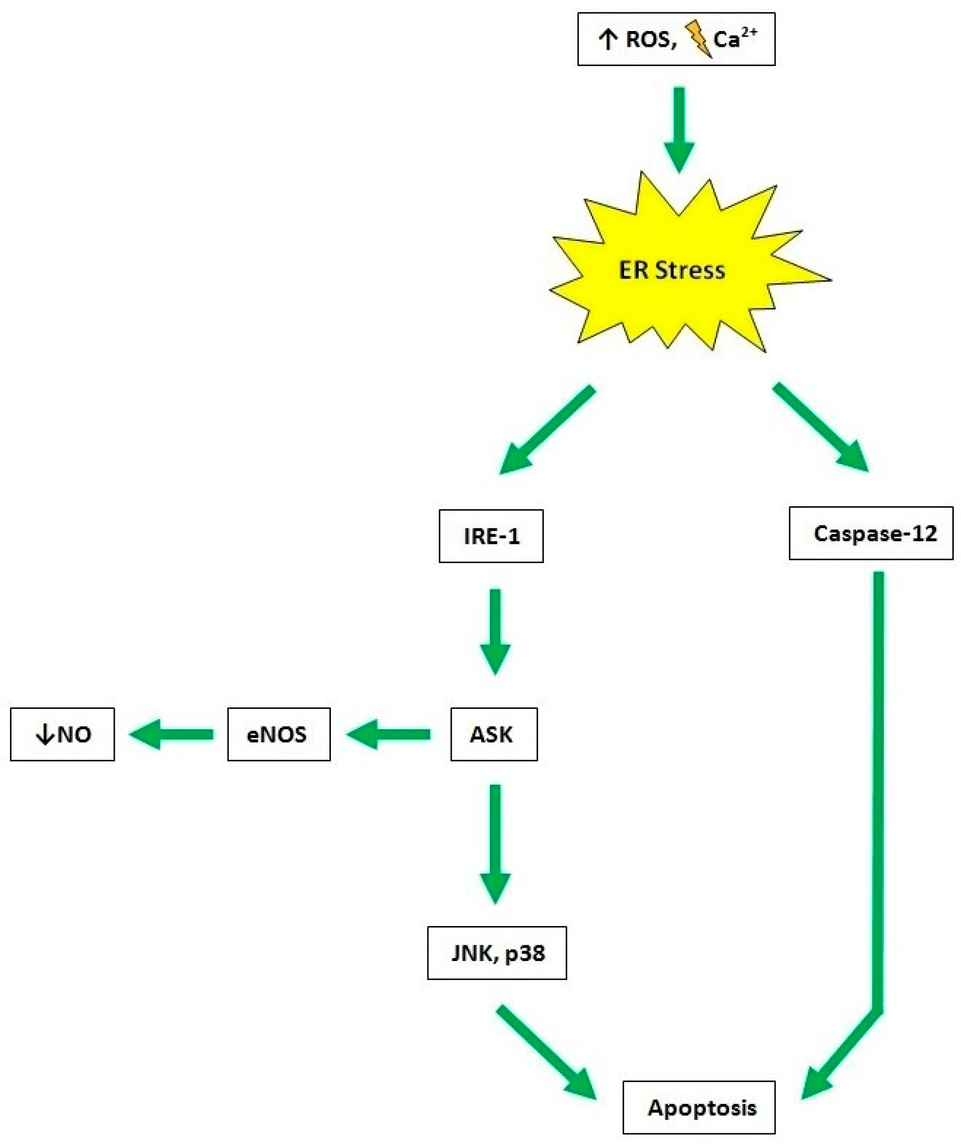 Ijms 20 03022 g003 Ijms 20 03022 g003