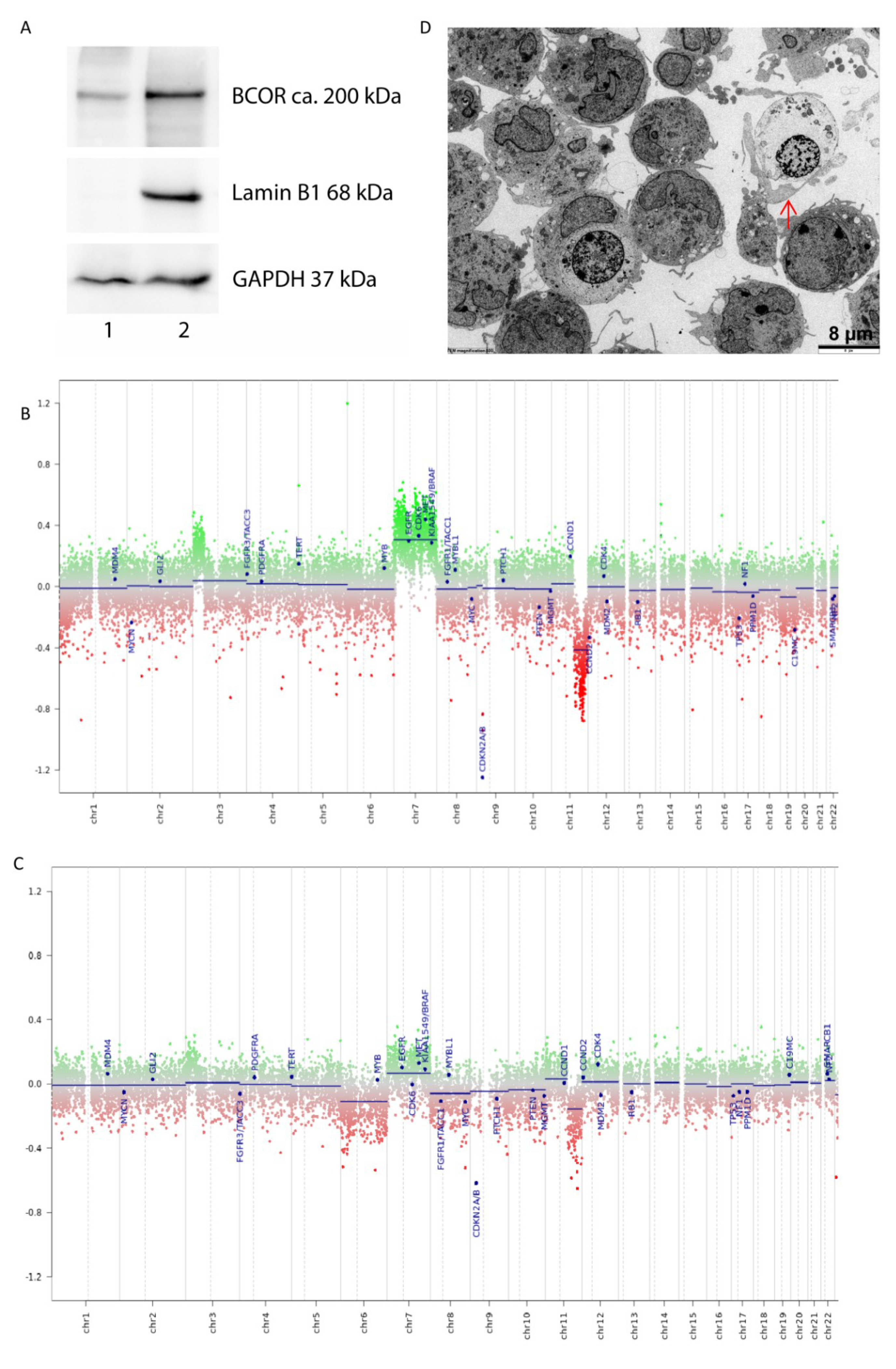 Ijms 20 03027 g001 Ijms 20 03027 g001