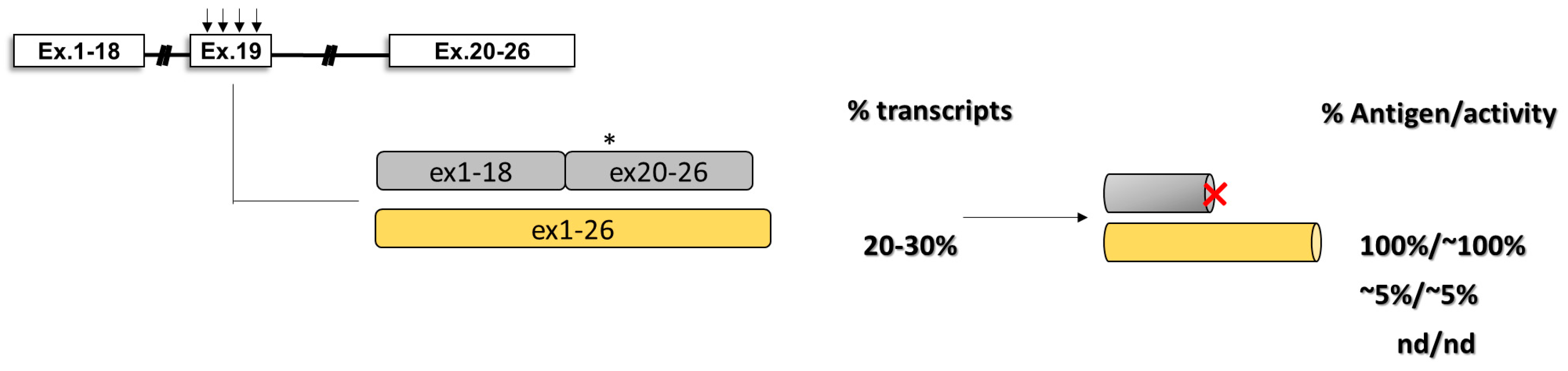 Ijms 20 03036 g007 Ijms 20 03036 g007
