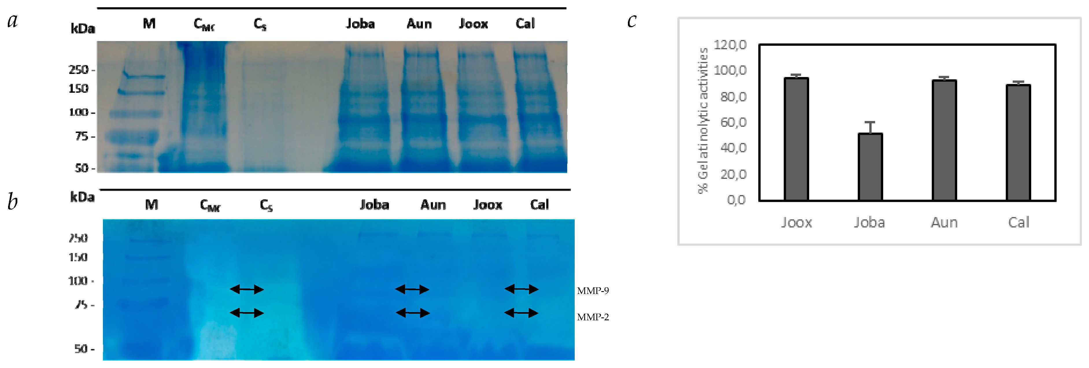 Ijms 20 03059 g003