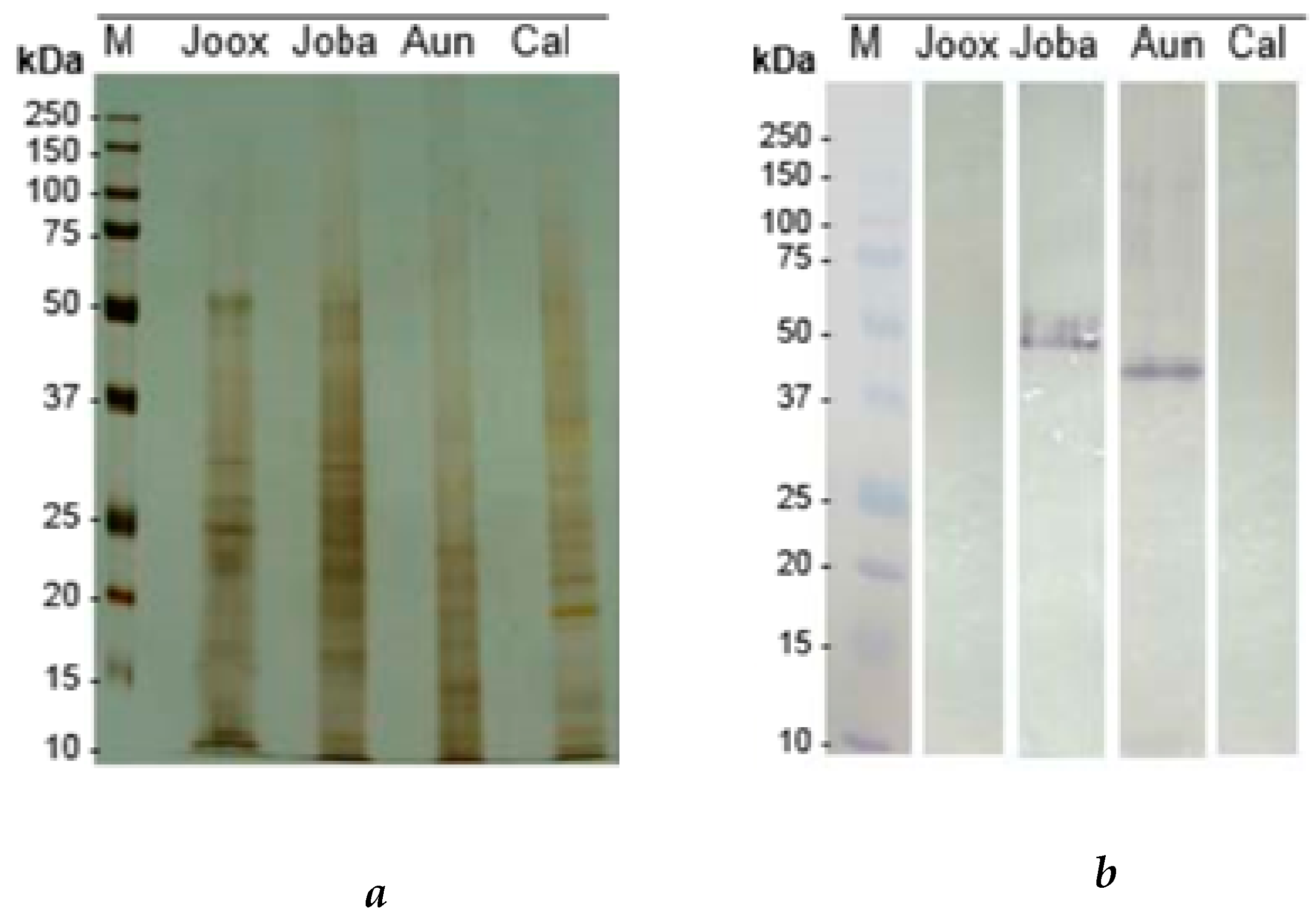 Ijms 20 03059 g004