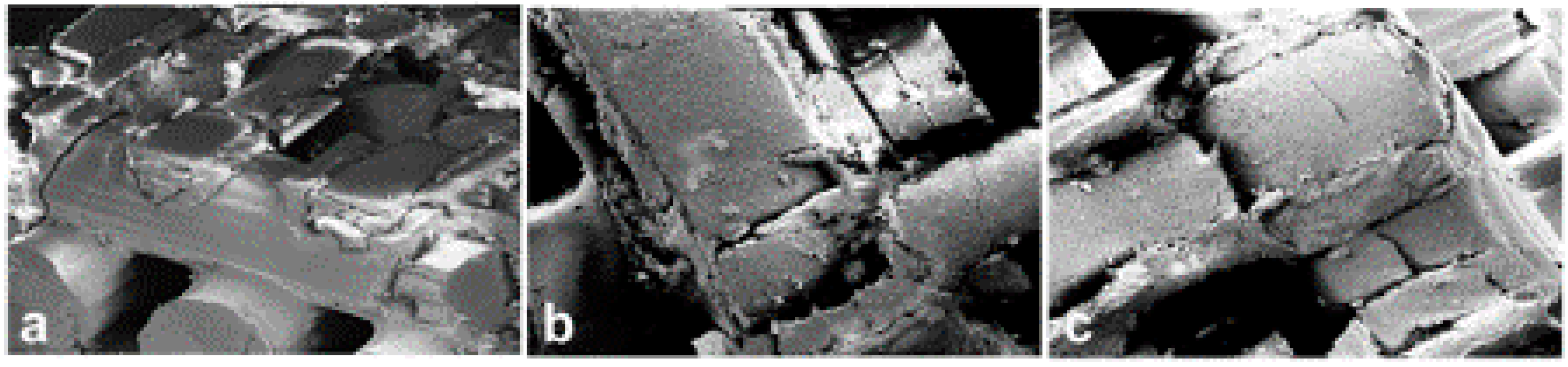 Ijms 20 03118 g005