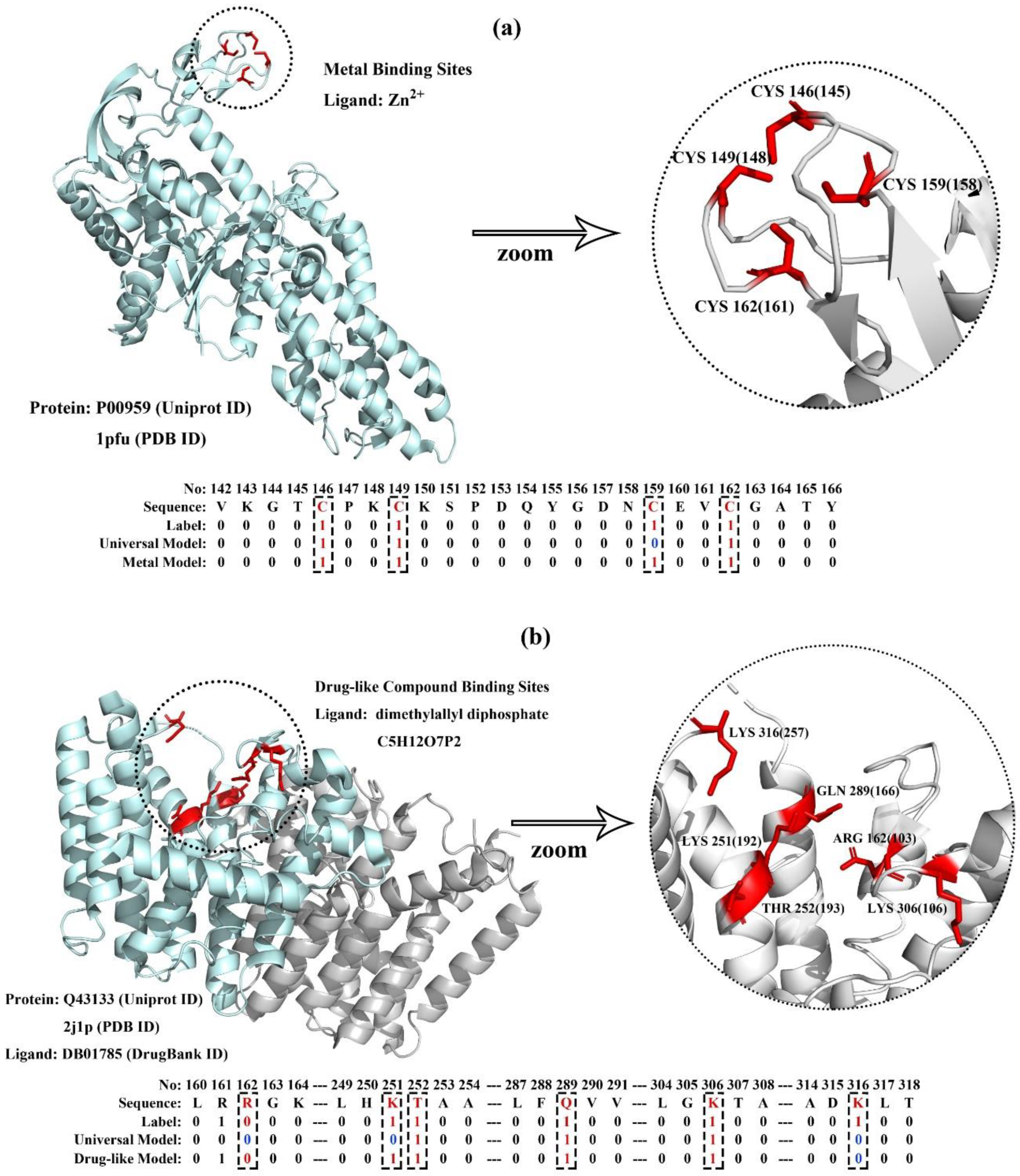 Ijms 20 03120 g005