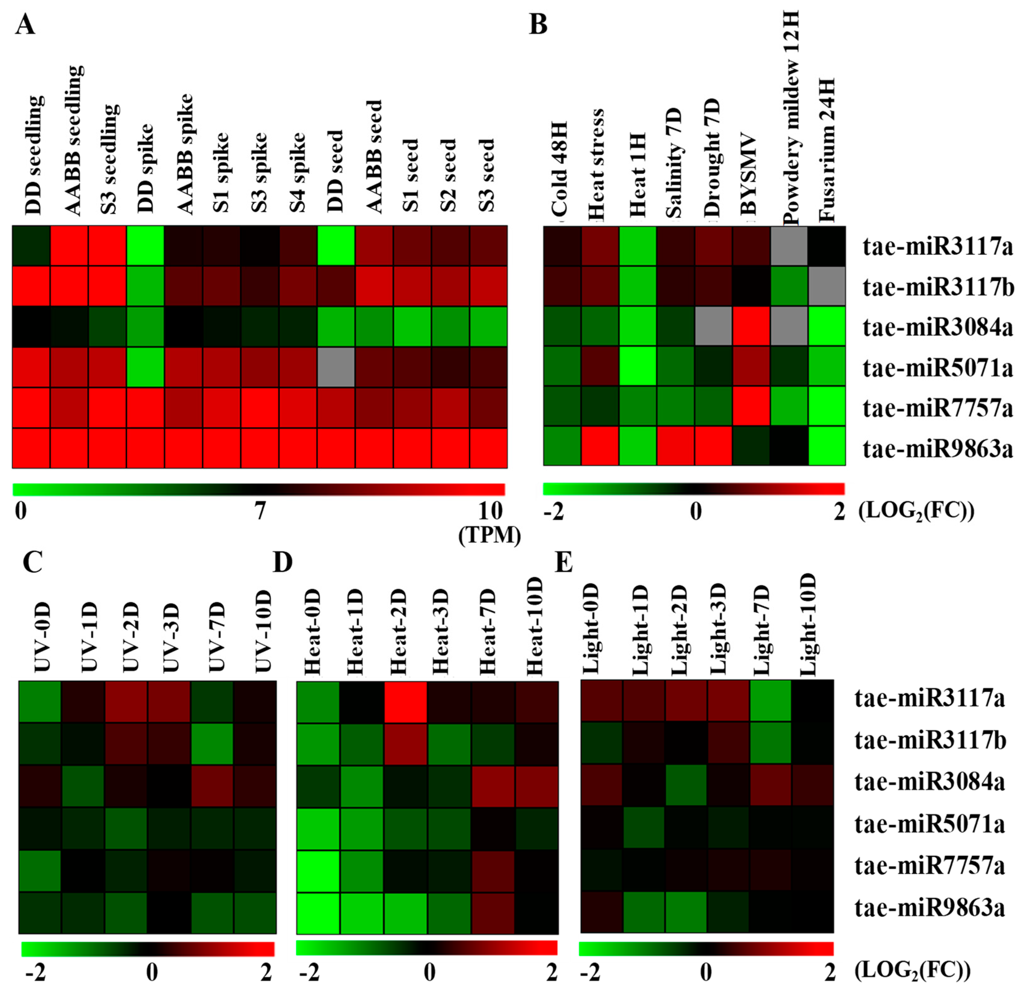 Ijms 20 03128 g002 Ijms 20 03128 g002