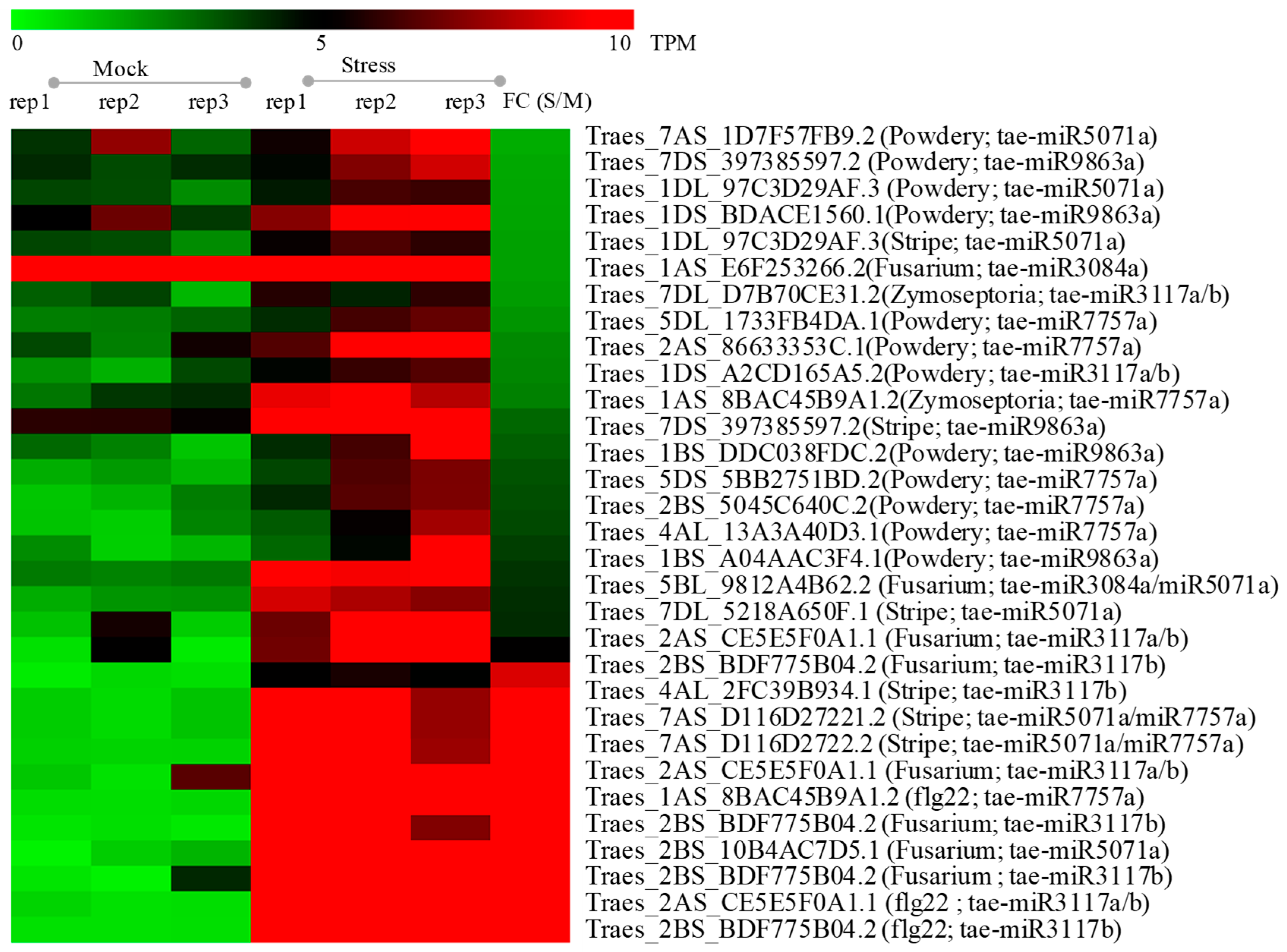 Ijms 20 03128 g006 Ijms 20 03128 g006